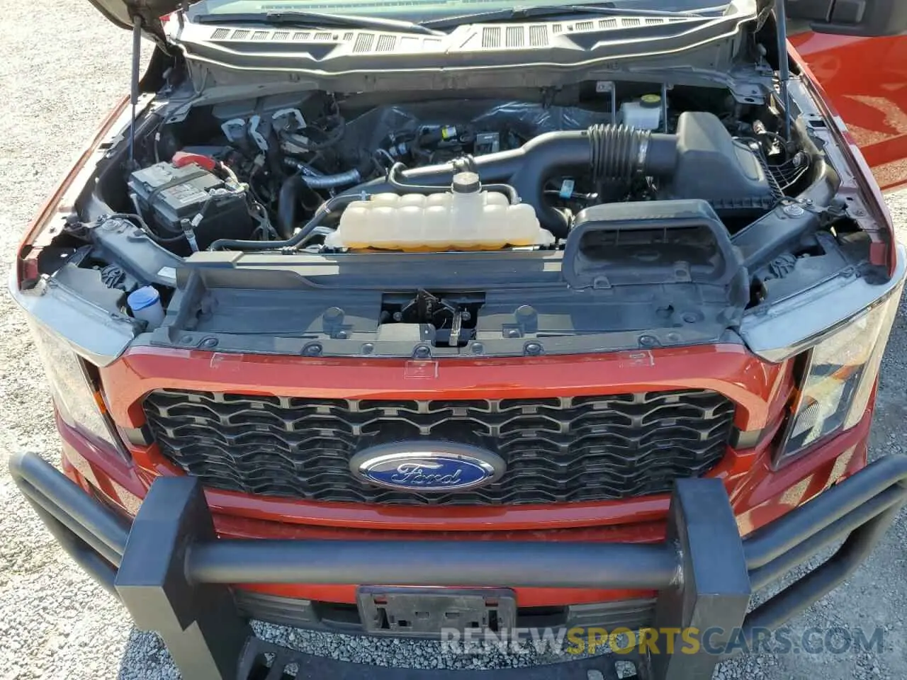 11 fotografías del automóvil dañado 1FTEW1EP5PKD53686 FORD F-150 2023