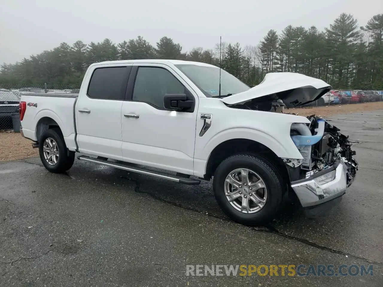 4 fotografías del automóvil dañado 1FTEW1EP6PFB32591 FORD F-150 2023