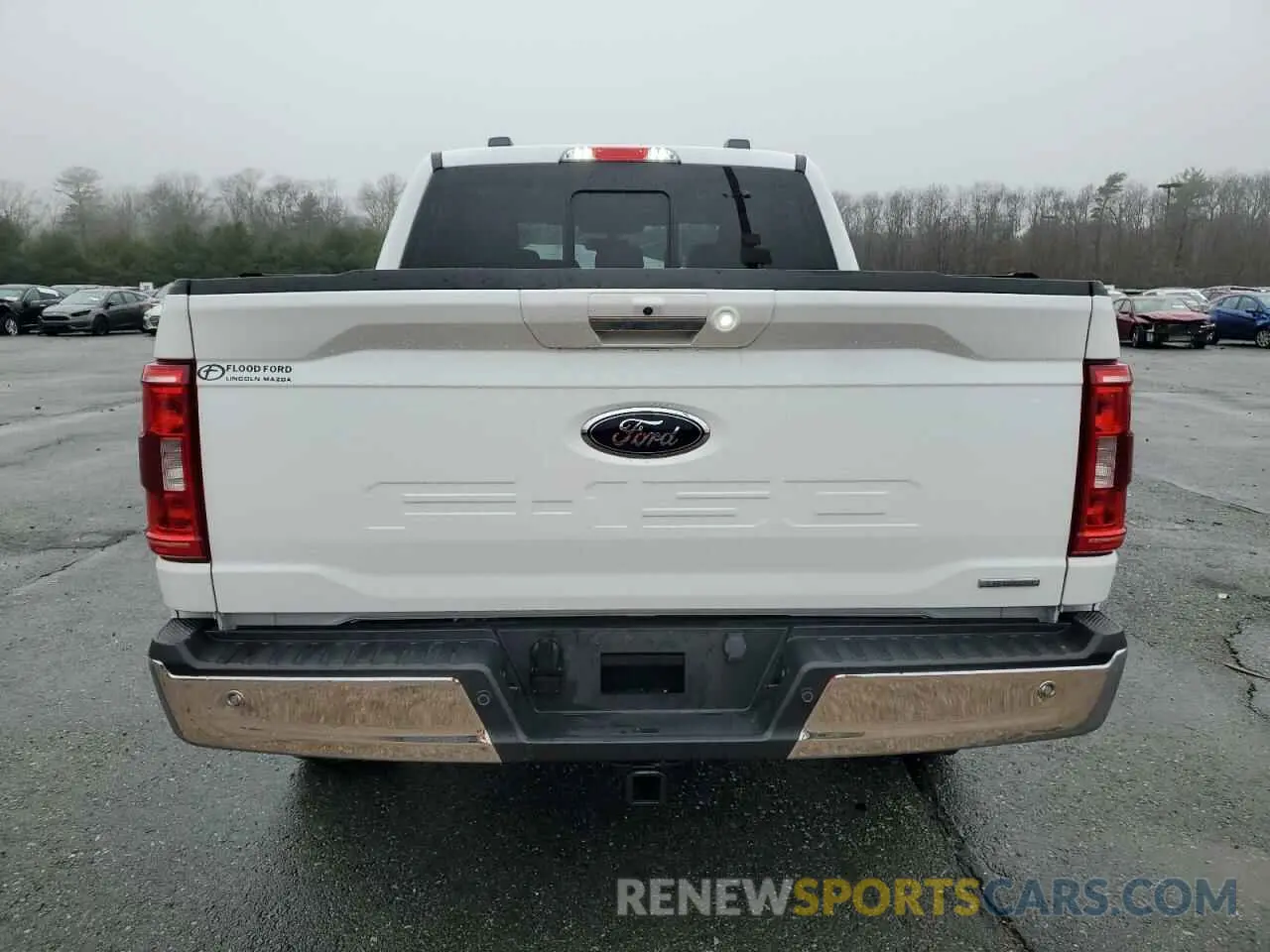 6 fotografías del automóvil dañado 1FTEW1EP6PFB32591 FORD F-150 2023