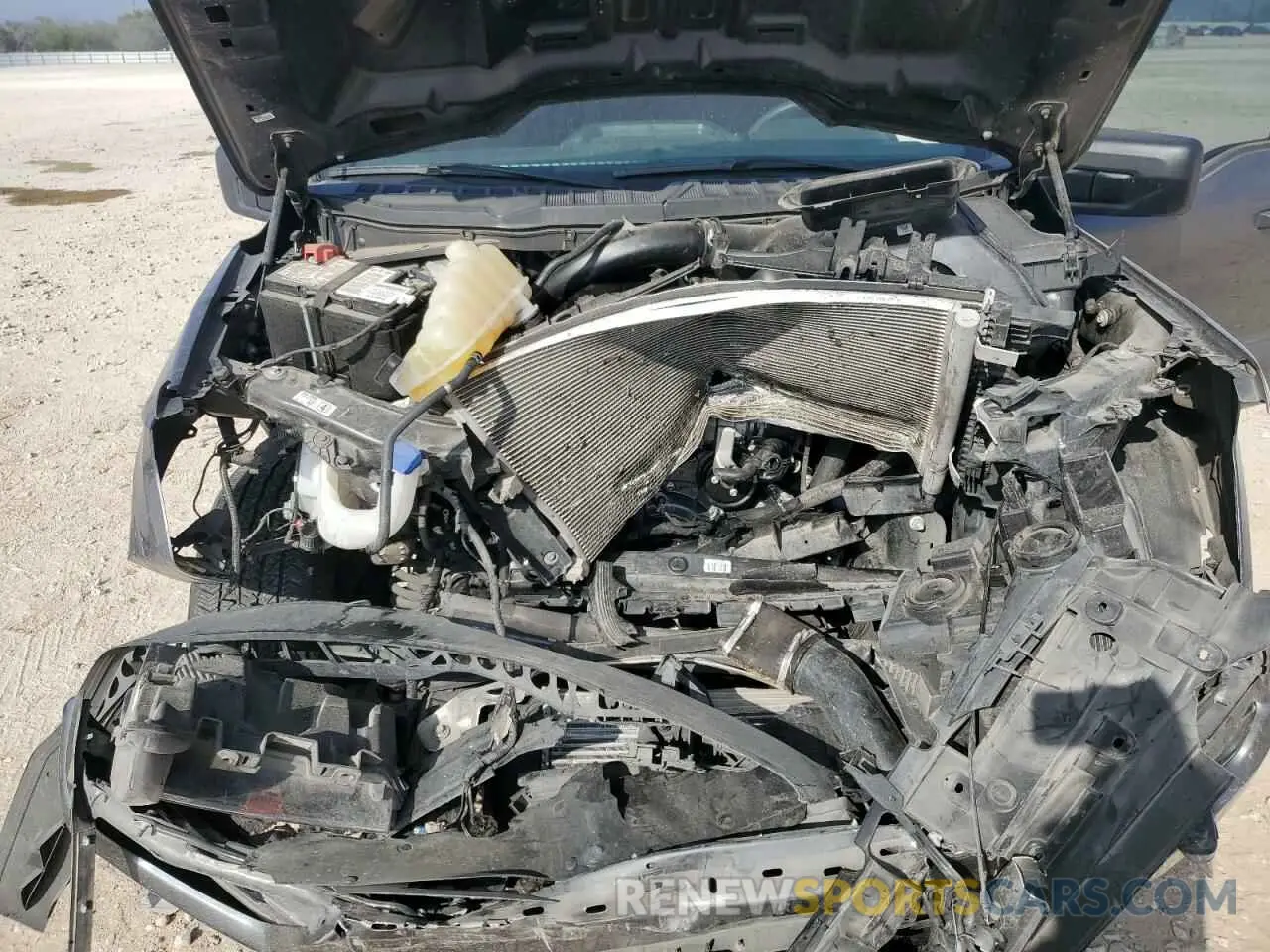 12 fotografías del automóvil dañado 1FTEW1EP6PFD18146 FORD F-150 2023