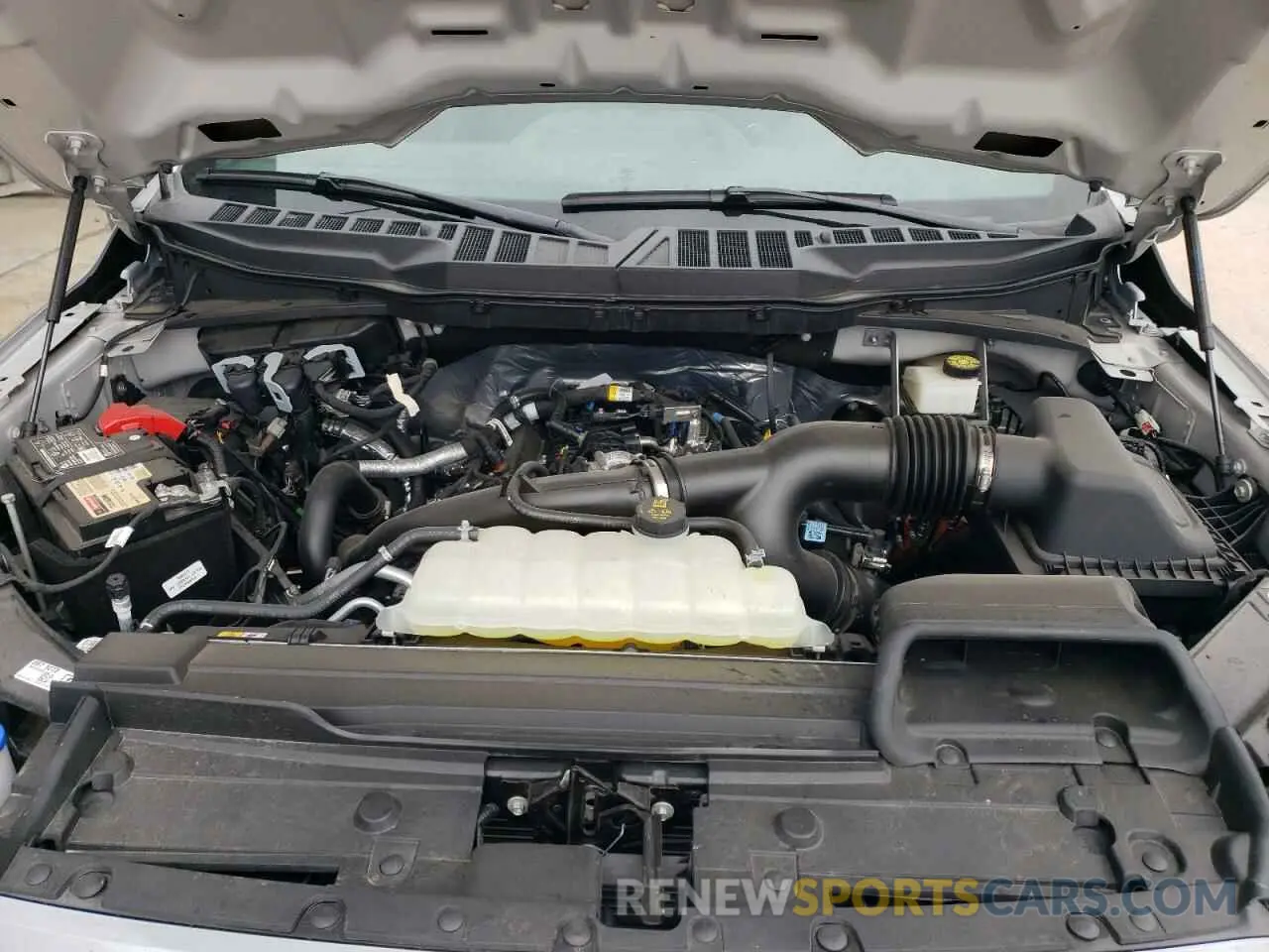 11 fotografías del automóvil dañado 1FTEW1EP6PKF53329 FORD F-150 2023