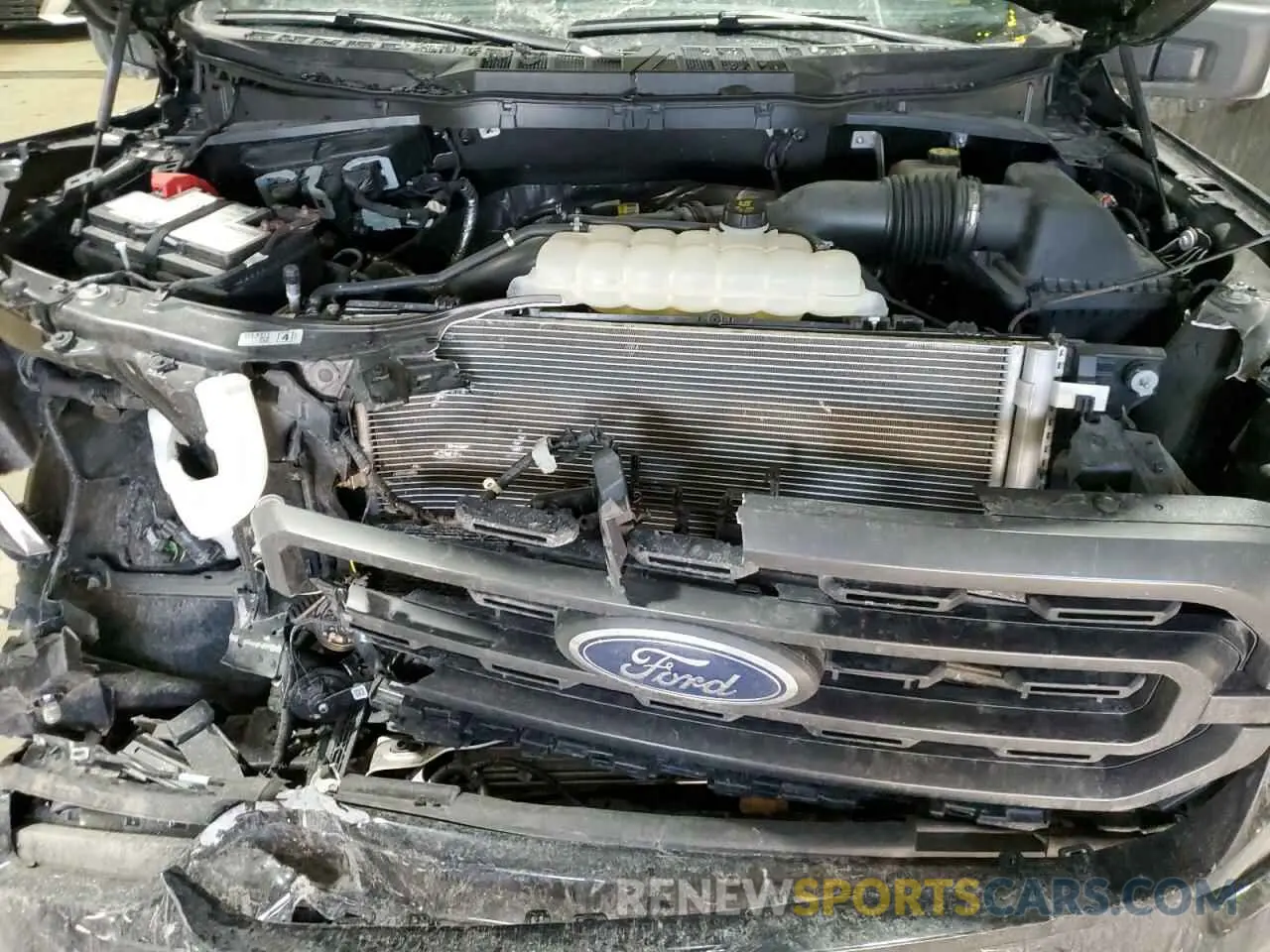 11 fotografías del automóvil dañado 1FTEW1EP6PKF55114 FORD F-150 2023