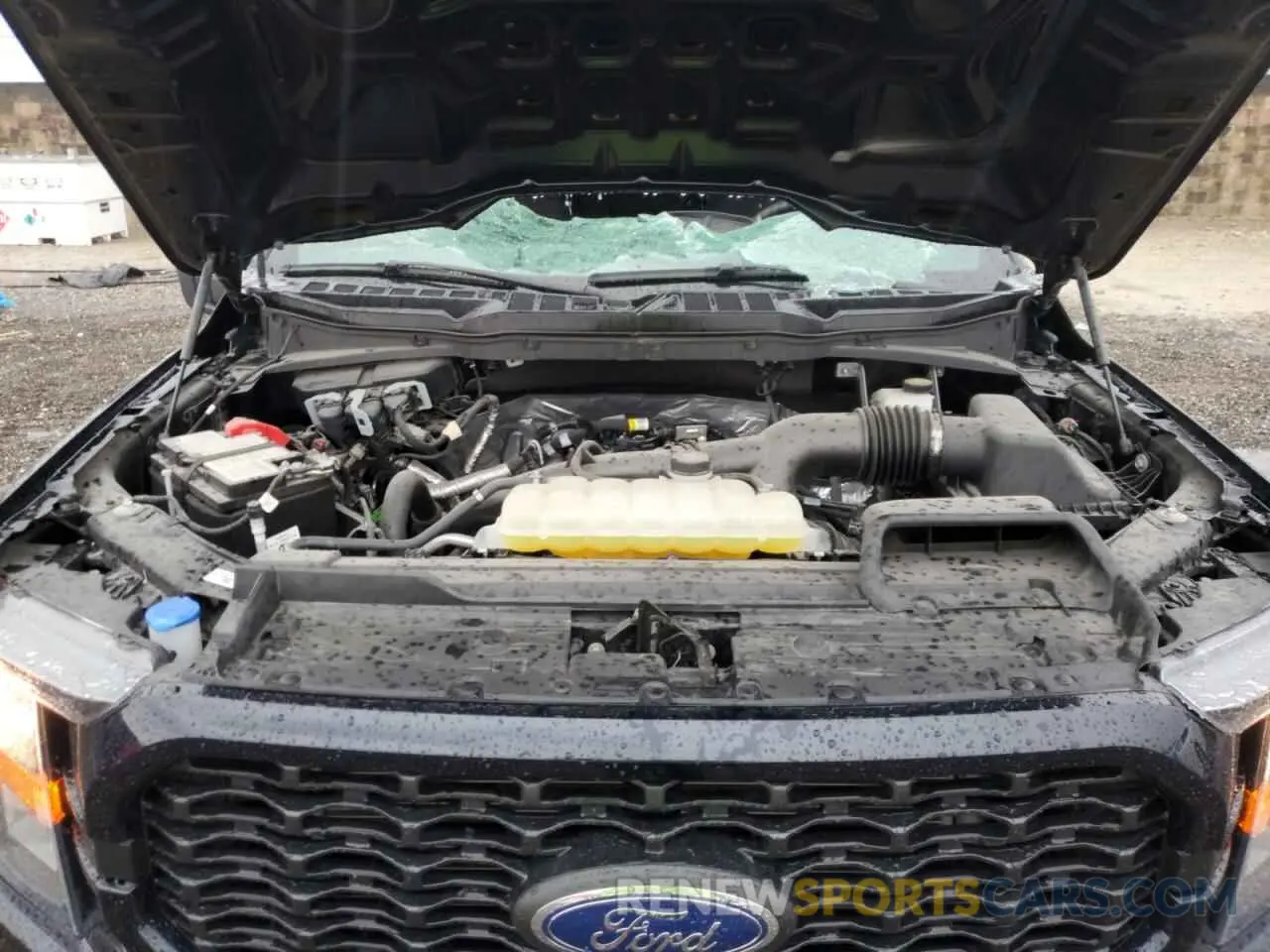 13 fotografías del automóvil dañado 1FTEW1EP6PKG11911 FORD F-150 2023