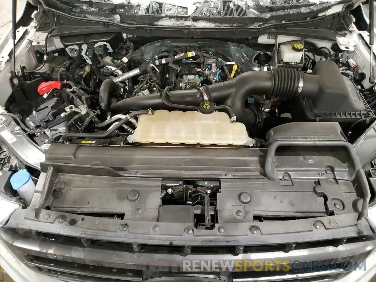 11 fotografías del automóvil dañado 1FTEW1EPXPFB35512 FORD F-150 2023