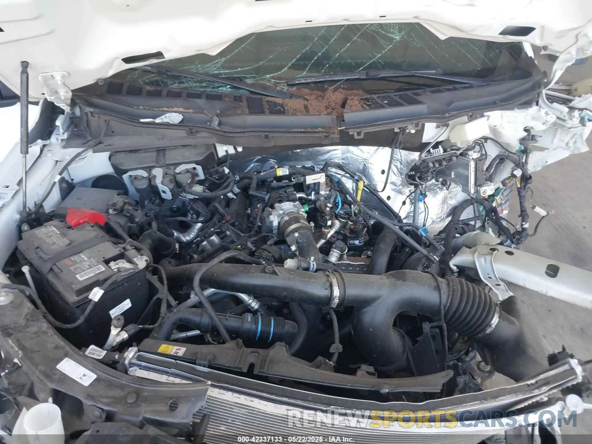 10 fotografías del automóvil dañado 1FTEX1CP1PKE18310 FORD F-150 2023
