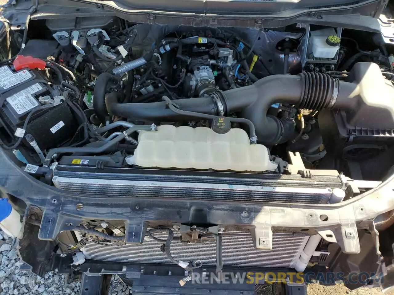 11 fotografías del automóvil dañado 1FTEX1EP1PFA99559 FORD F-150 2023