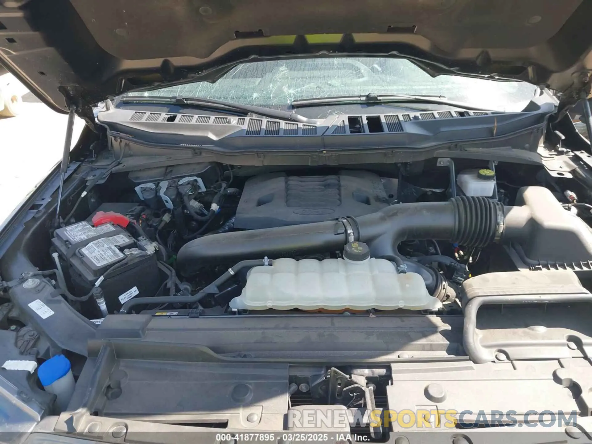 10 fotografías del automóvil dañado 1FTFW1E83PFC52457 FORD F-150 2023