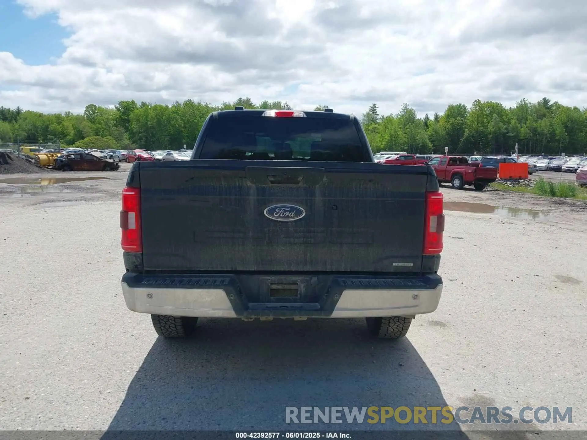 16 fotografías del automóvil dañado 1FTFW1E8XPFC68638 FORD F-150 2023