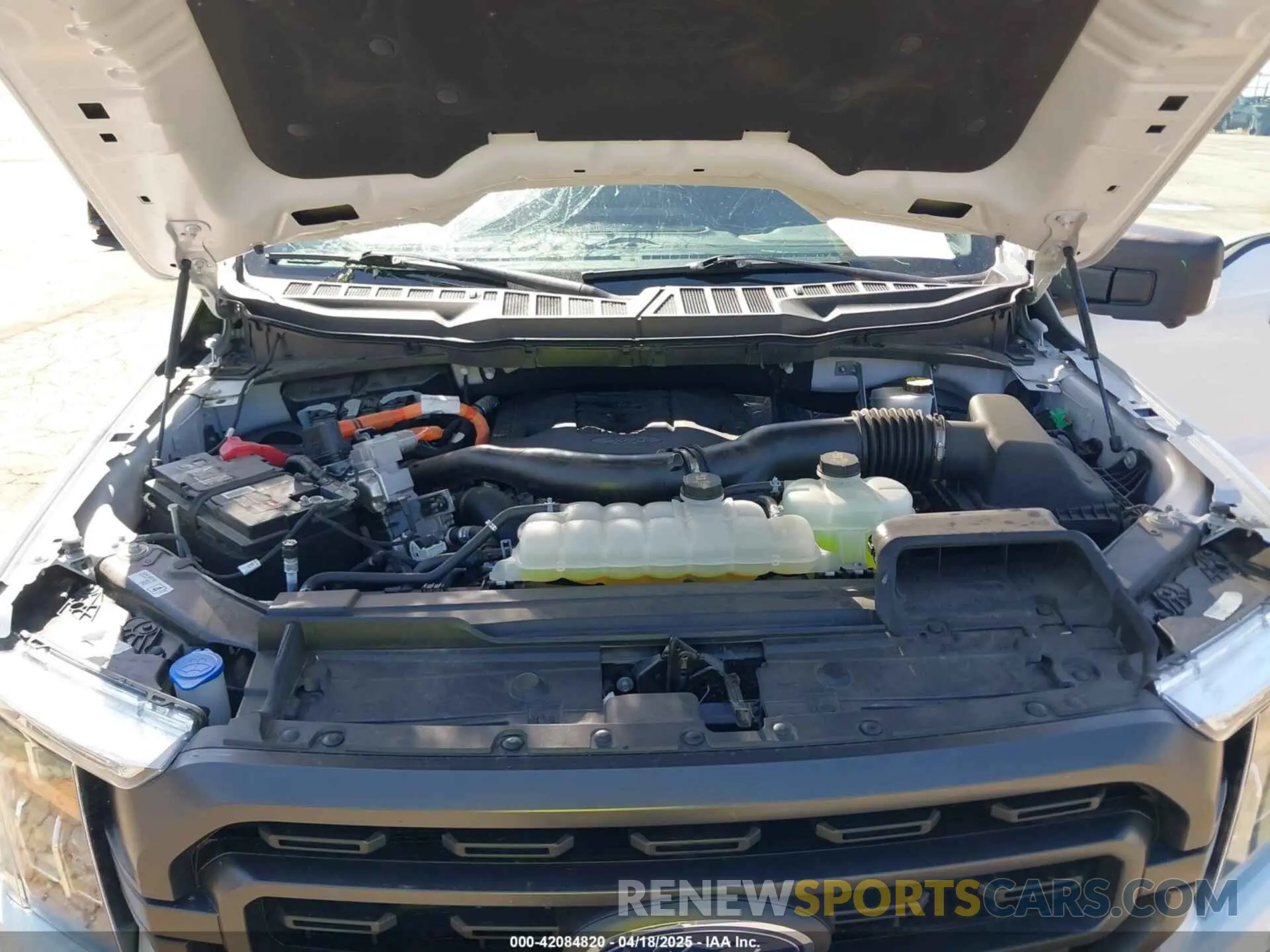10 fotografías del automóvil dañado 1FTFW1ED4PFB79015 FORD F-150 2023