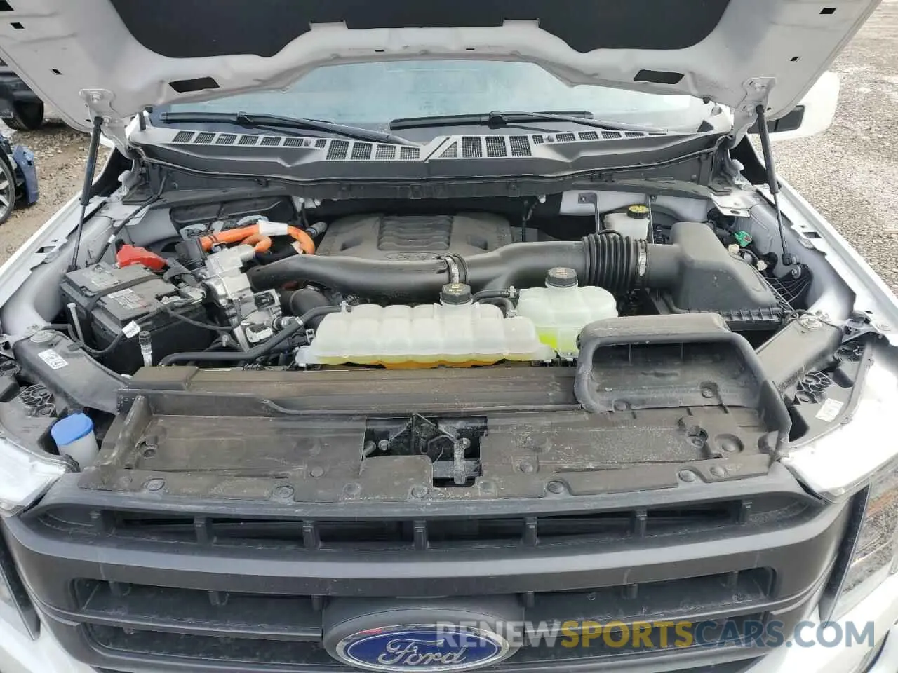 11 fotografías del automóvil dañado 1FTFW1ED4PFD04658 FORD F-150 2023