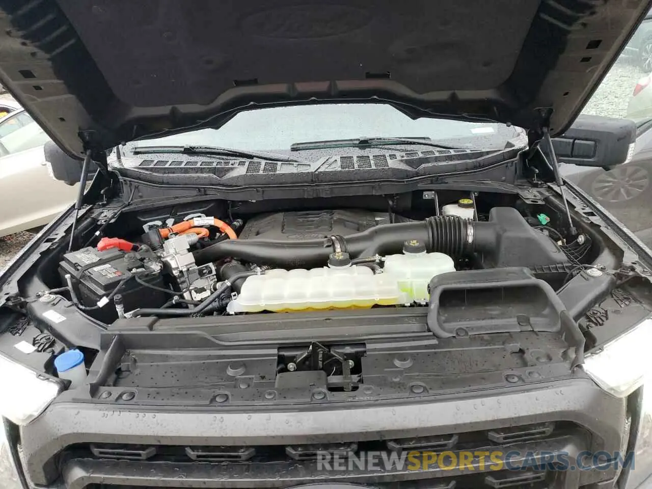 12 fotografías del automóvil dañado 1FTFW1ED4PFD05437 FORD F-150 2023