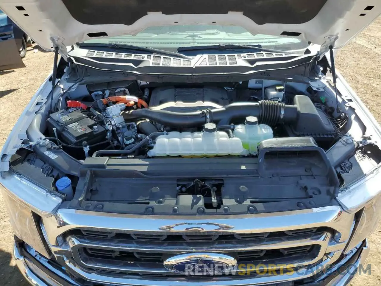 11 fotografías del automóvil dañado 1FTFW1ED5PFD28970 FORD F-150 2023