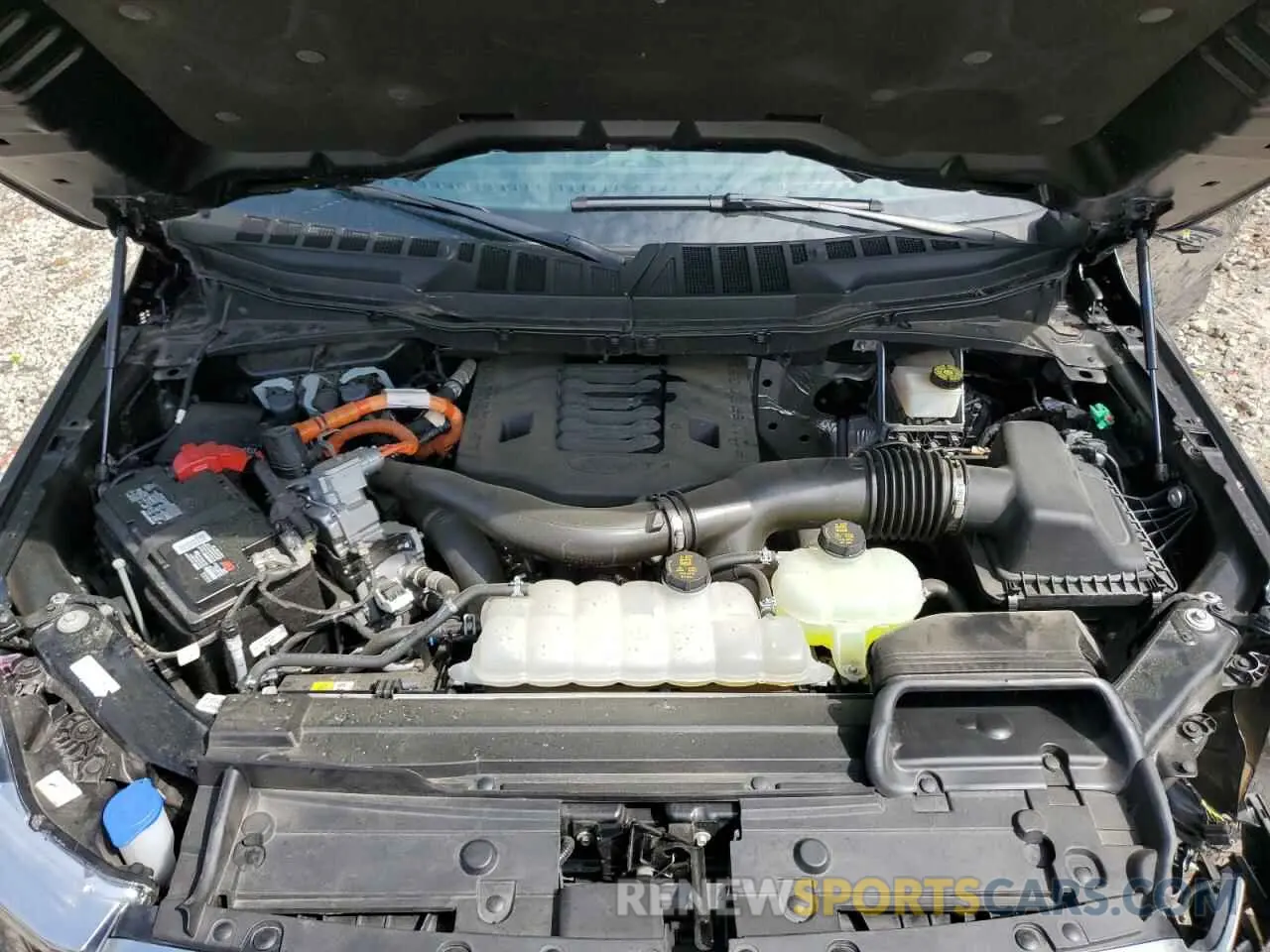 11 fotografías del automóvil dañado 1FTFW1ED6PFB16241 FORD F-150 2023
