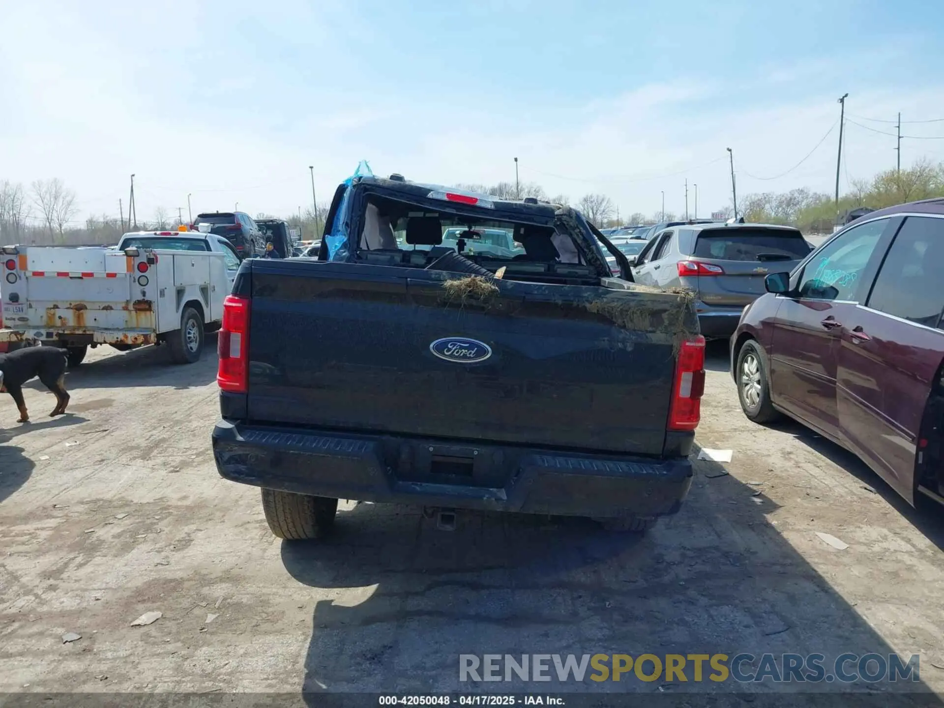 16 fotografías del automóvil dañado 1FTFW1ED6PFD10266 FORD F-150 2023