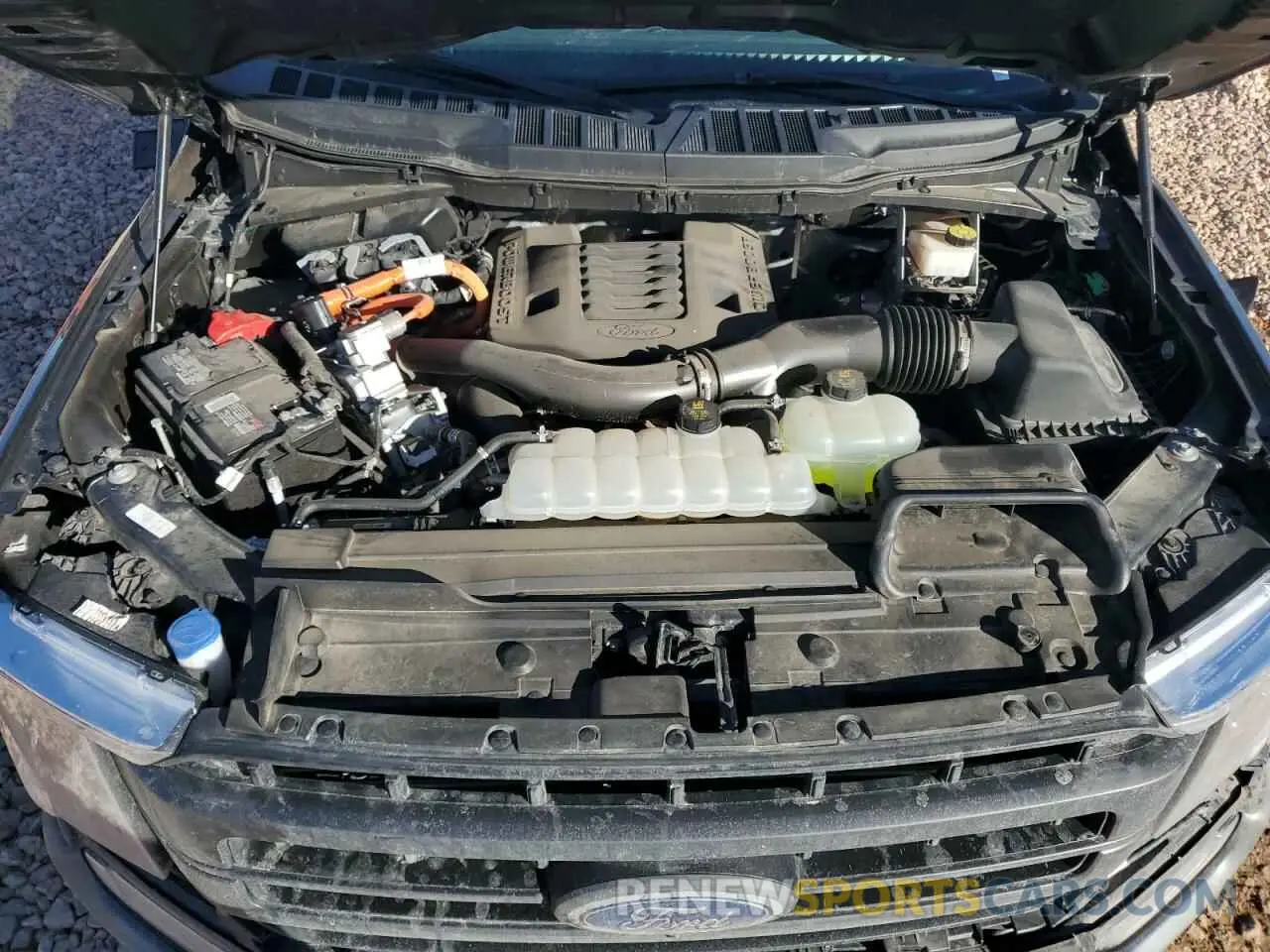 13 fotografías del automóvil dañado 1FTFW1ED7PFA71360 FORD F-150 2023