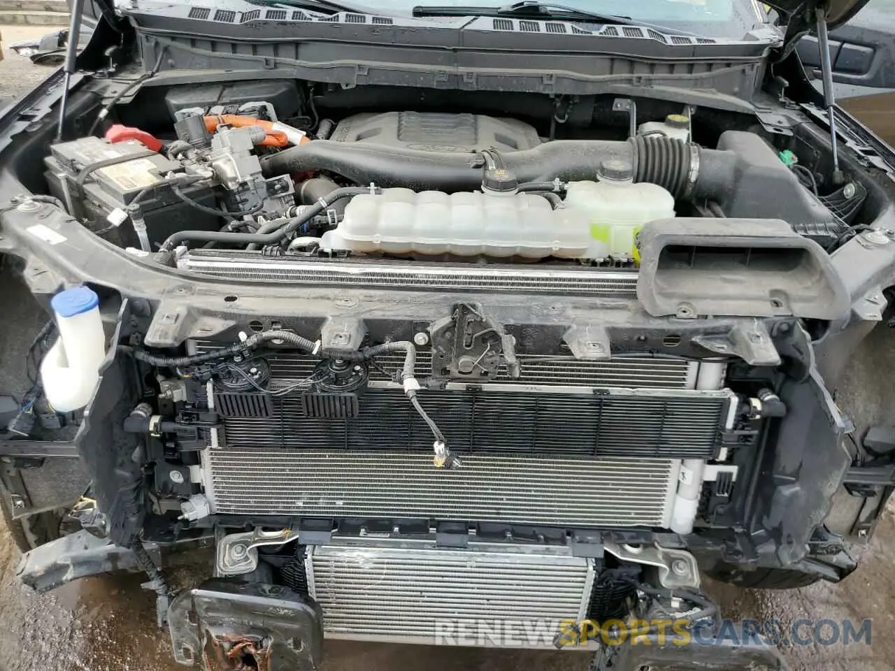 11 fotografías del automóvil dañado 1FTFW1ED7PFA94685 FORD F-150 2023
