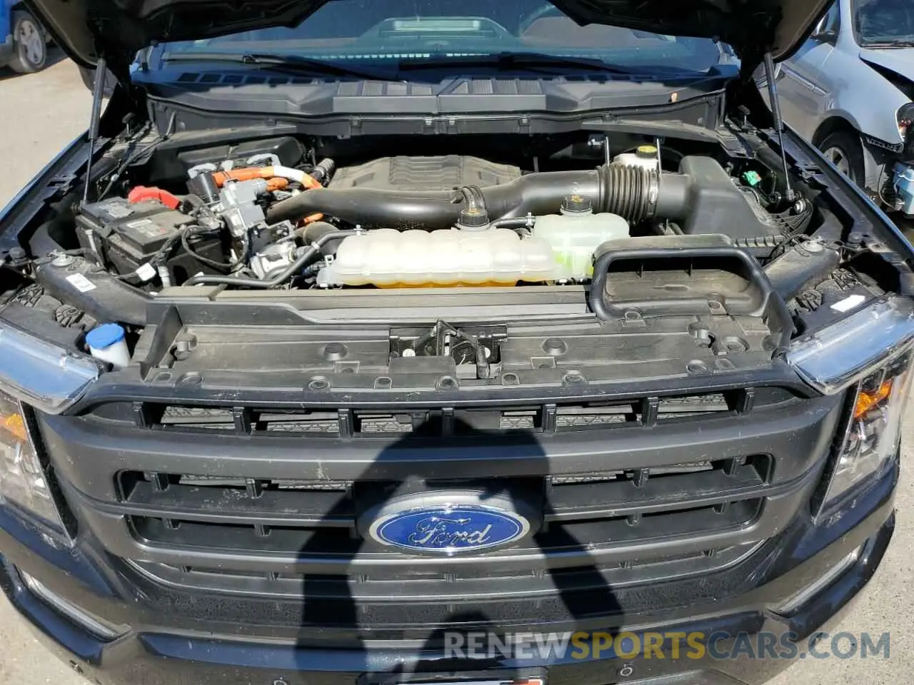 11 fotografías del automóvil dañado 1FTFW1ED9PFC82849 FORD F-150 2023
