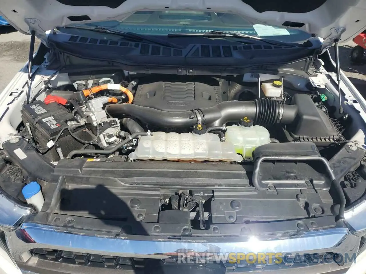11 fotografías del automóvil dañado 1FTFW1EDXPFB94523 FORD F-150 2023