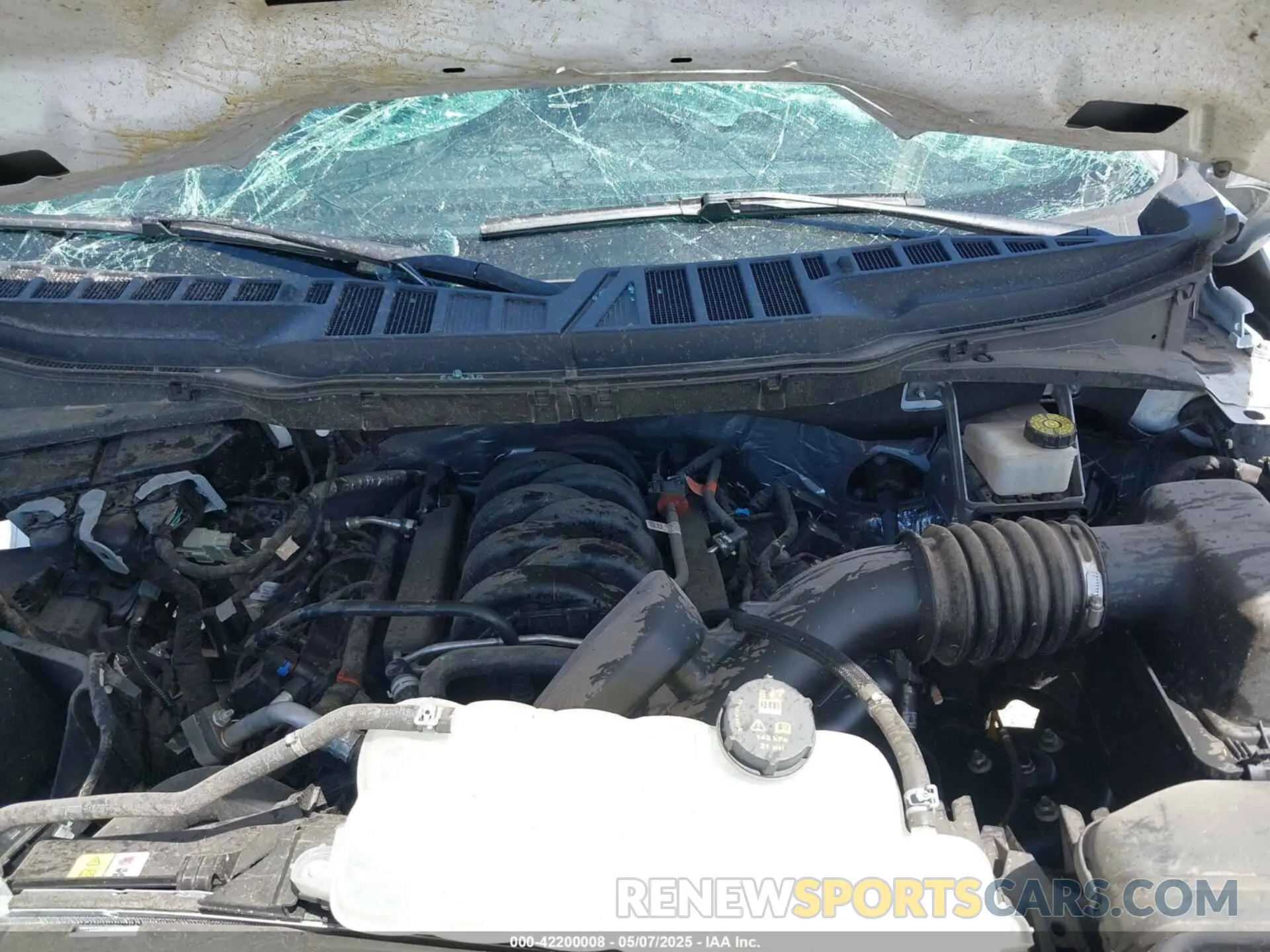 10 fotografías del automóvil dañado 1FTEW2K51RKD36055 FORD F-150 2024