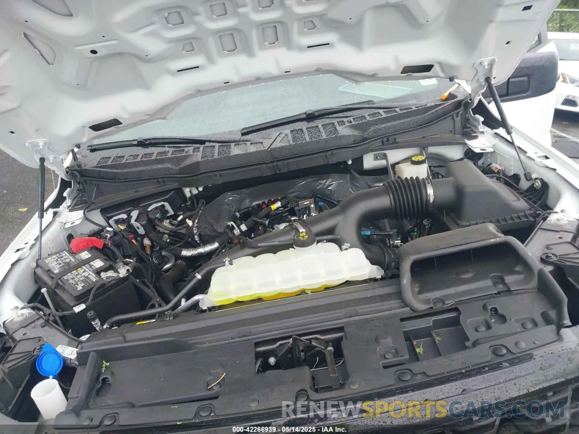 10 fotografías del automóvil dañado 1FTEW2LP0RKF41558 FORD F-150 2024