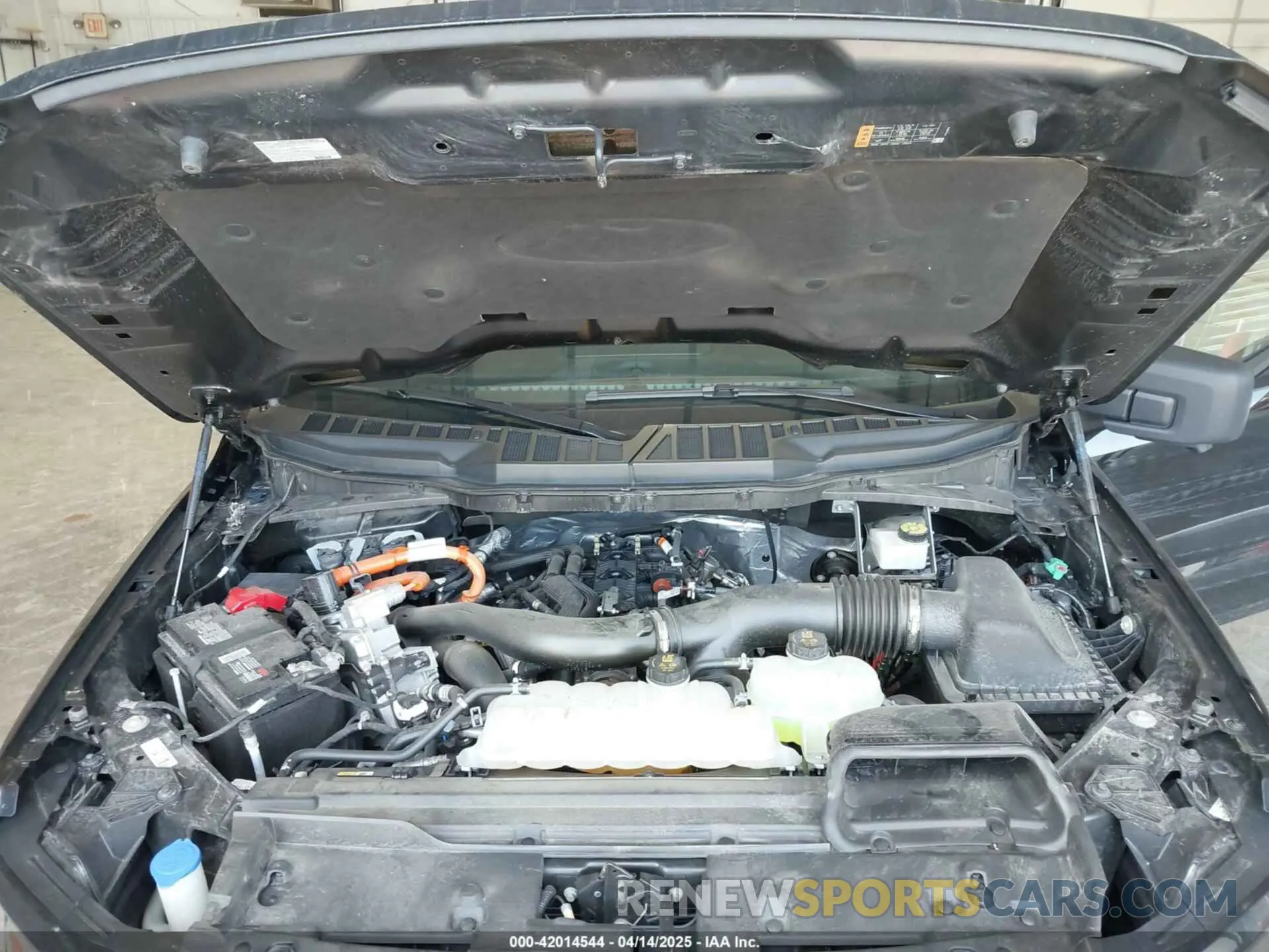 10 fotografías del automóvil dañado 1FTFW3LD1RFA25296 FORD F-150 2024