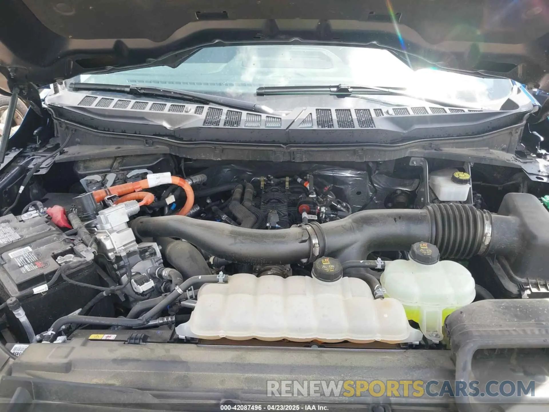 10 fotografías del automóvil dañado 1FTFW3LD1RFA35598 FORD F-150 2024