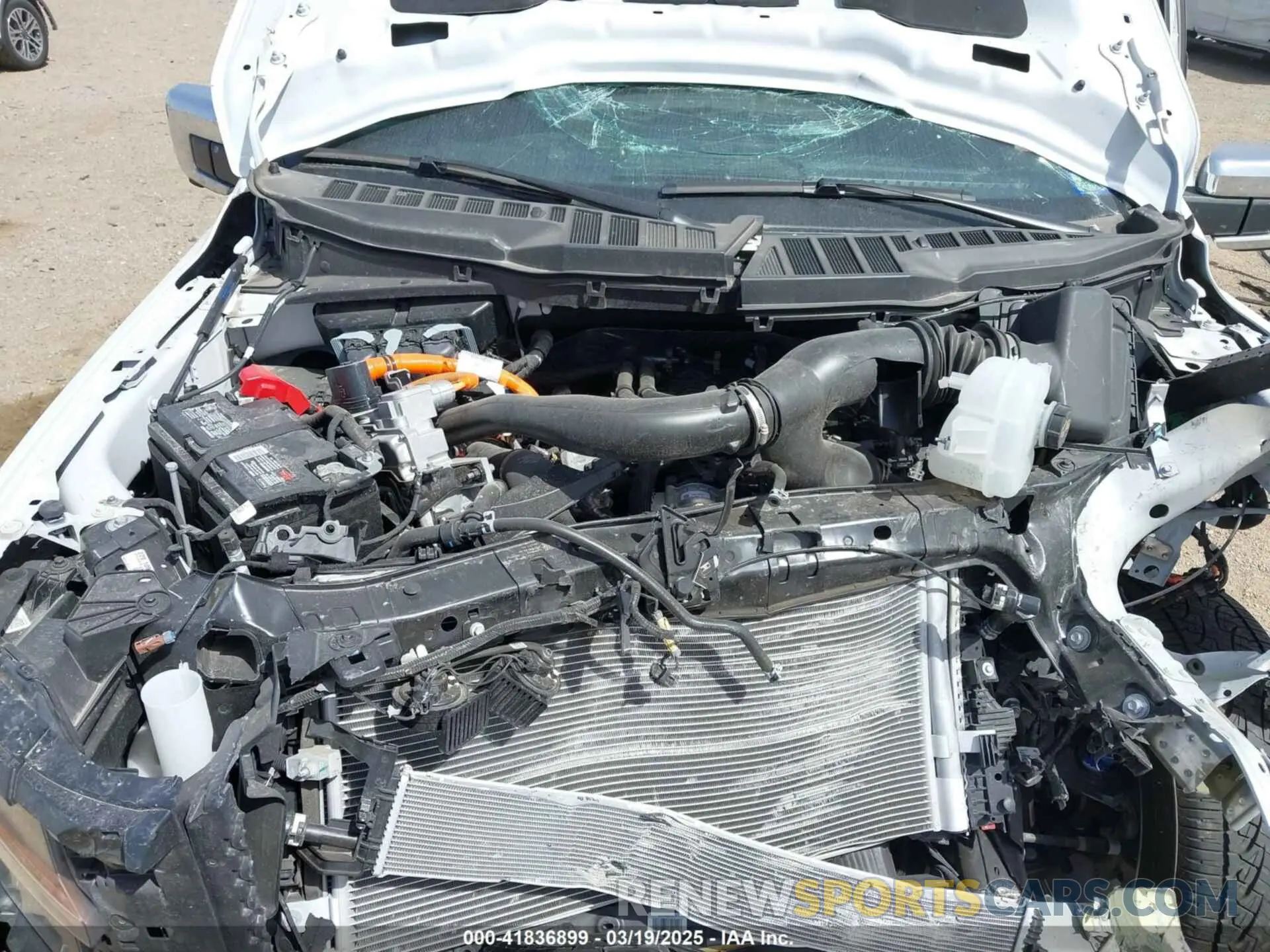 10 fotografías del automóvil dañado 1FTFW3LD2RFB44300 FORD F-150 2024