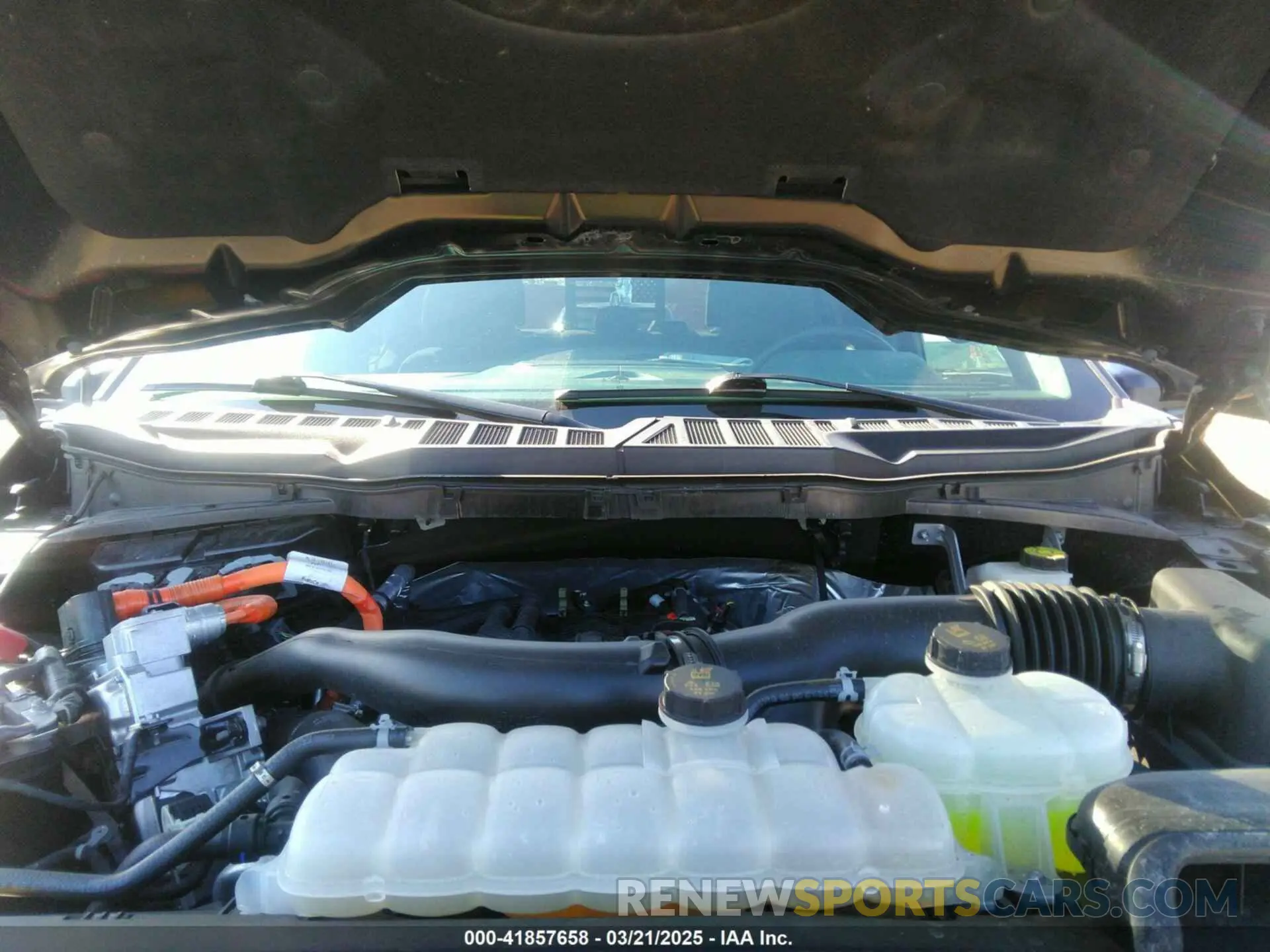 10 fotografías del automóvil dañado 1FTFW3LD4RFA97397 FORD F-150 2024