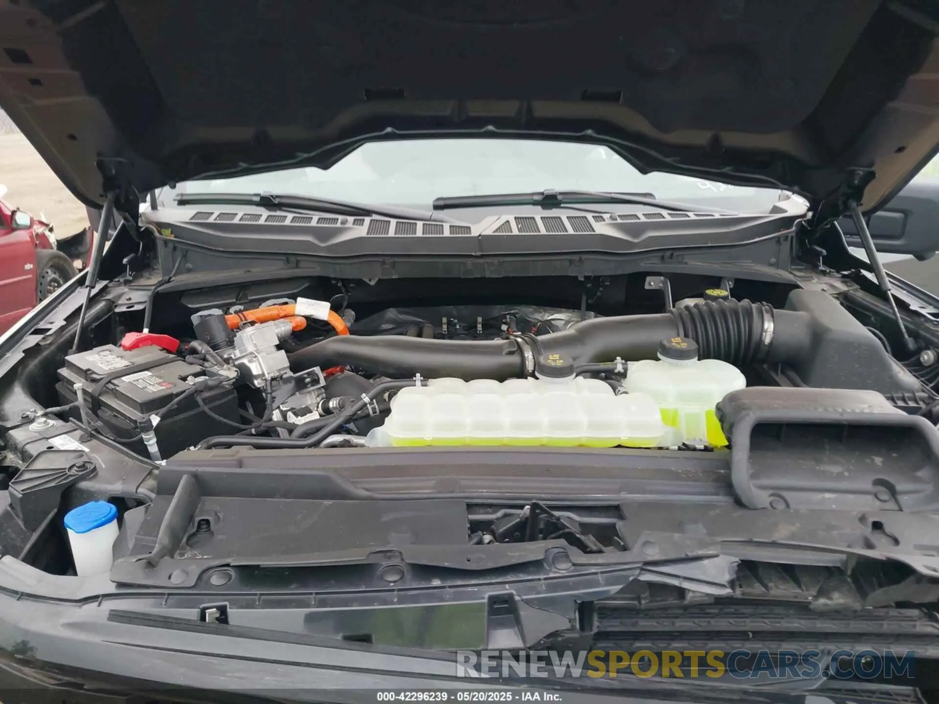 10 fotografías del automóvil dañado 1FTFW3LD9RFB04814 FORD F-150 2024