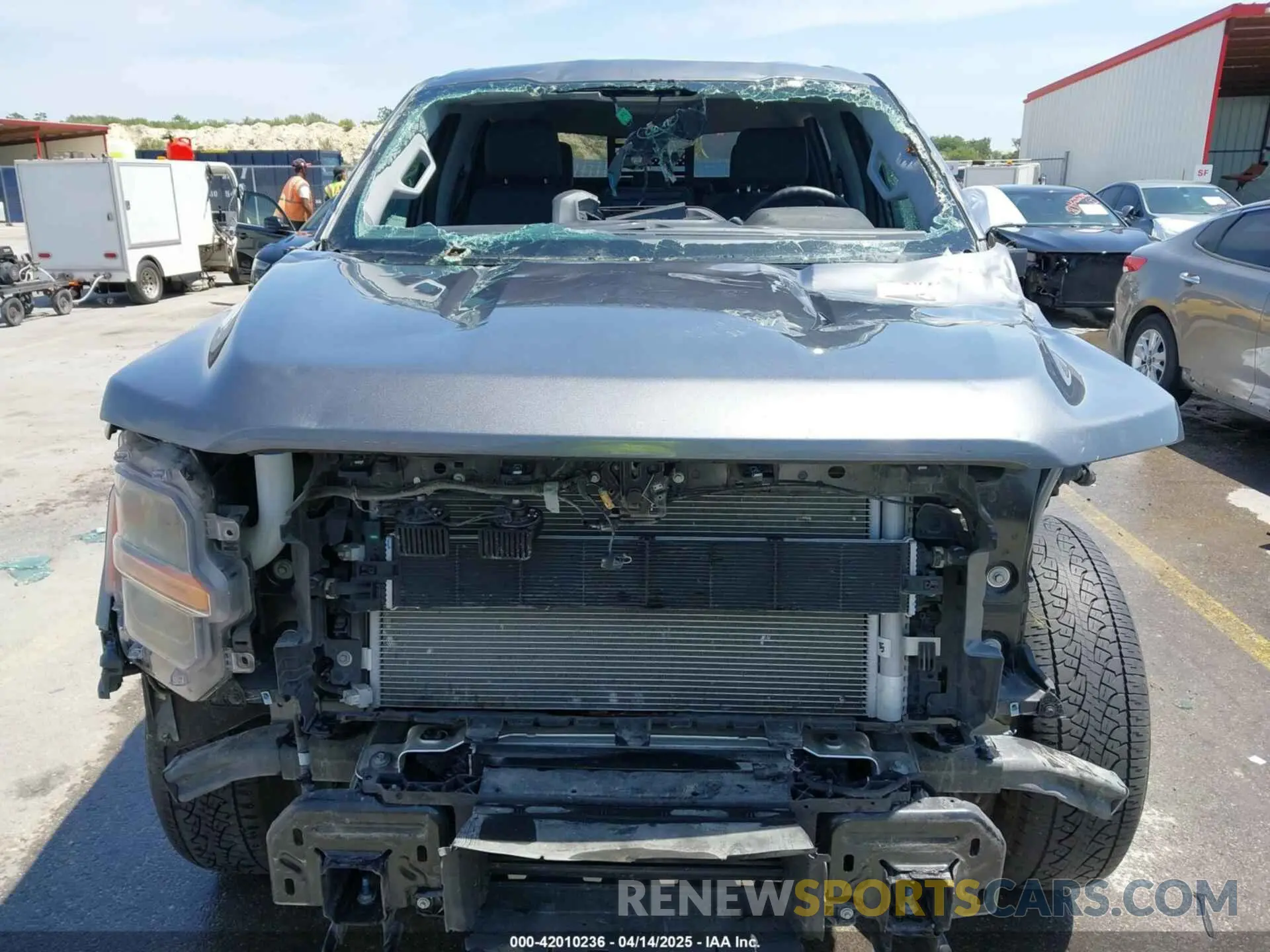13 fotografías del automóvil dañado 1FTFW3LDXRFA08772 FORD F-150 2024