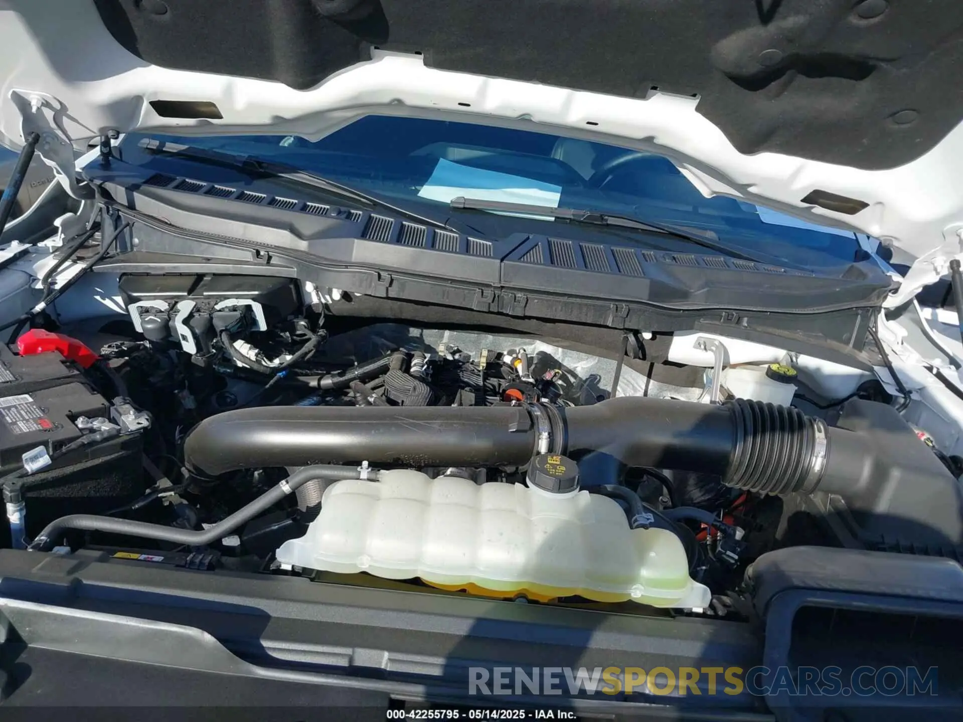 10 fotografías del automóvil dañado 1FTFW5L81RFB74399 FORD F-150 2024