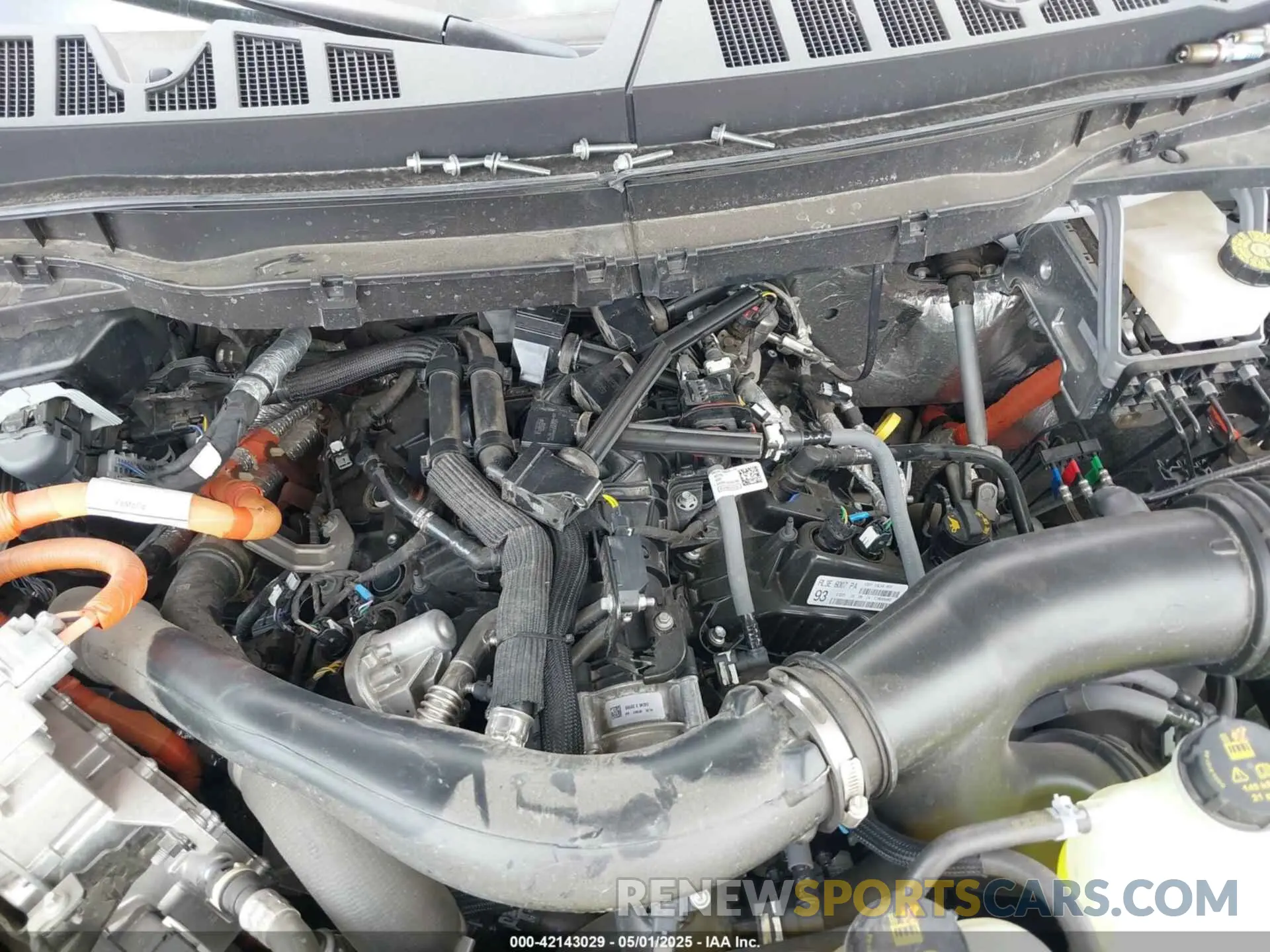 10 fotografías del automóvil dañado 1FTFW7LD1RFB88697 FORD F-150 2024