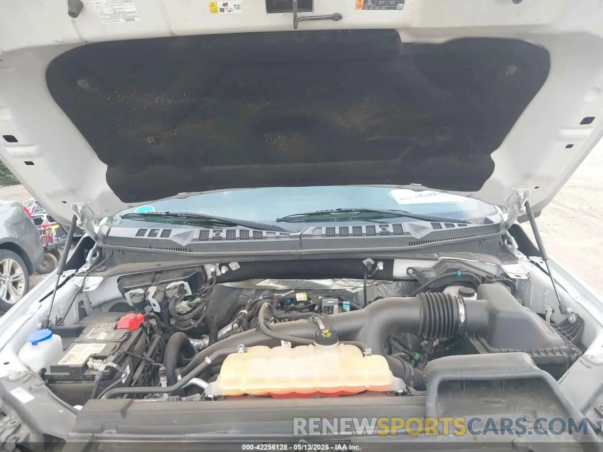 10 fotografías del automóvil dañado 1FCEW1EP3KFA58961 FORD F-150 SERIES 2019
