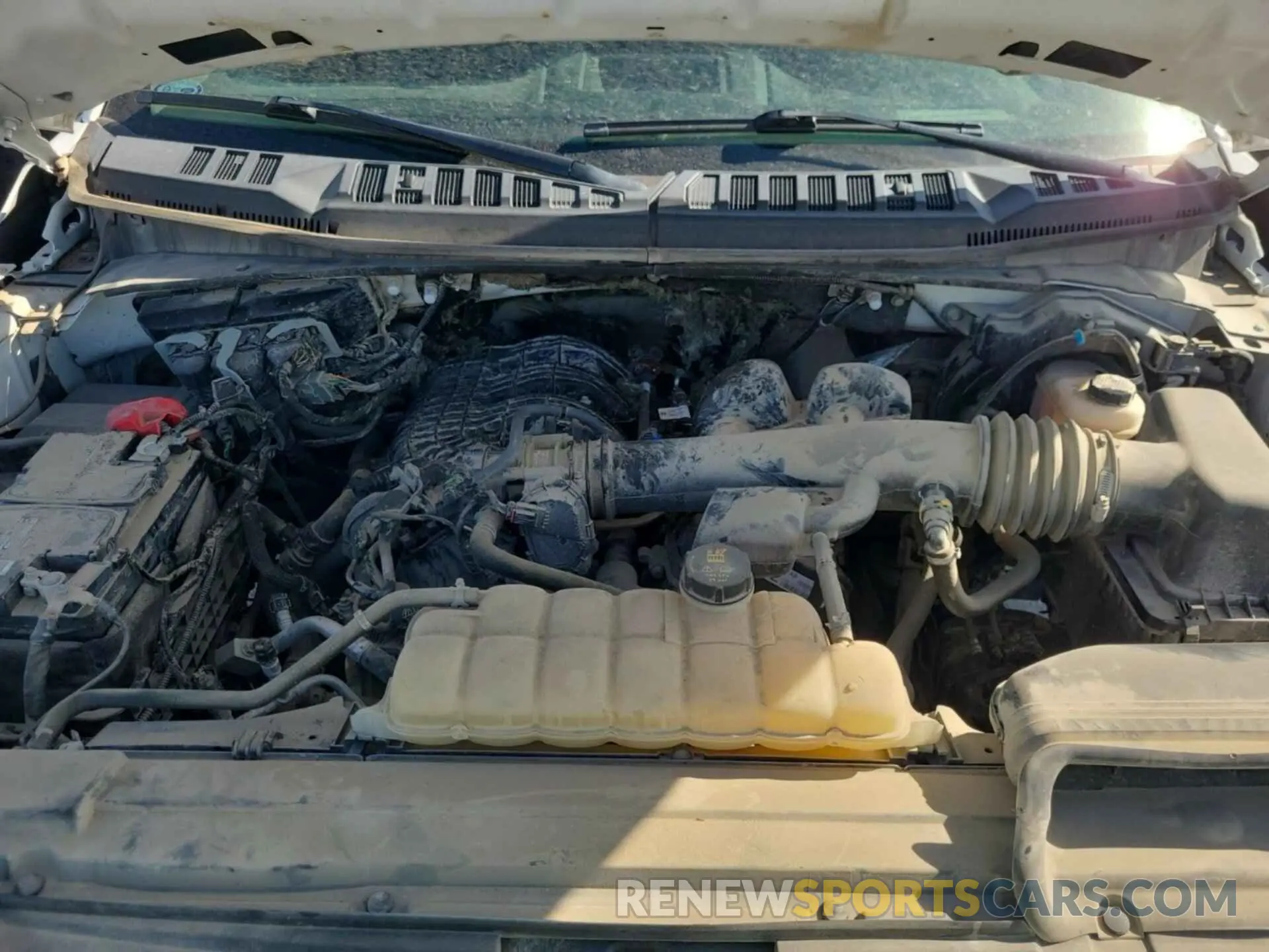 12 fotografías del automóvil dañado 1FTEX1EB7KKD84996 FORD F150 2019