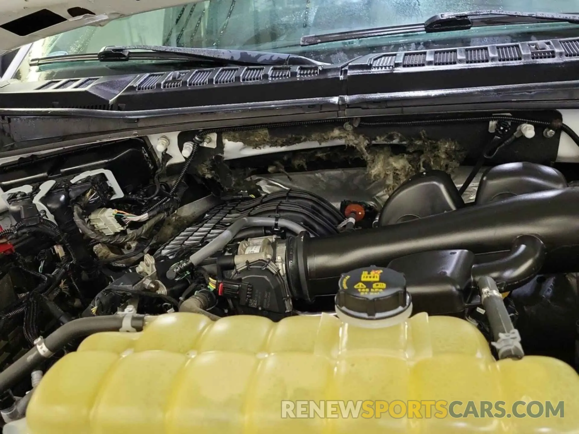20 fotografías del automóvil dañado 1FTEX1EB7KKD84996 FORD F150 2019