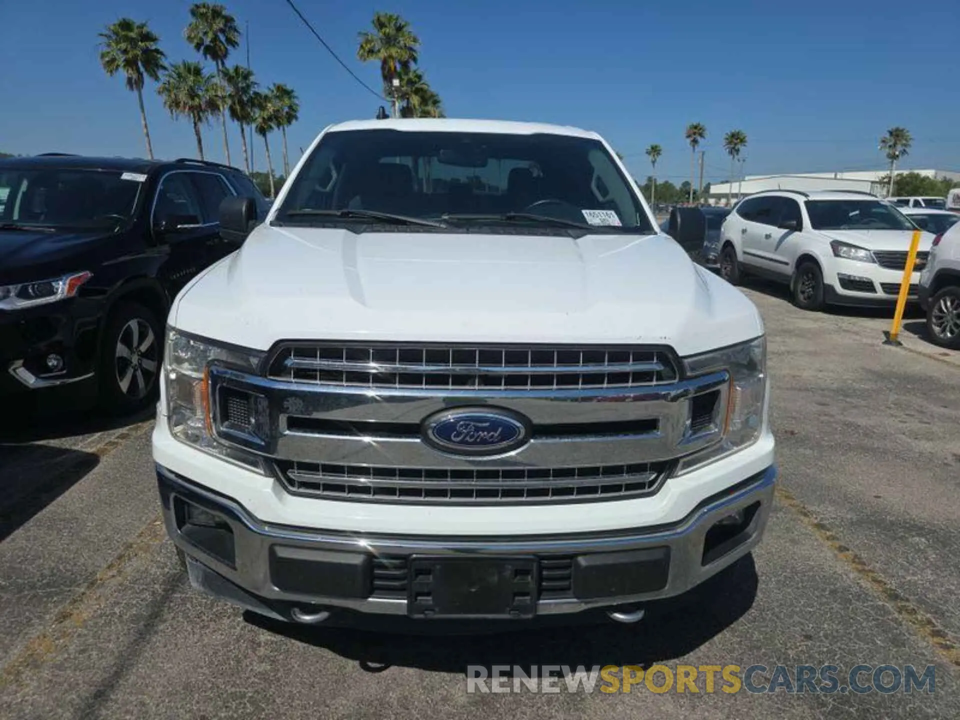 20 fotografías del automóvil dañado 1FTFW1E59KKE61191 FORD F150 2019