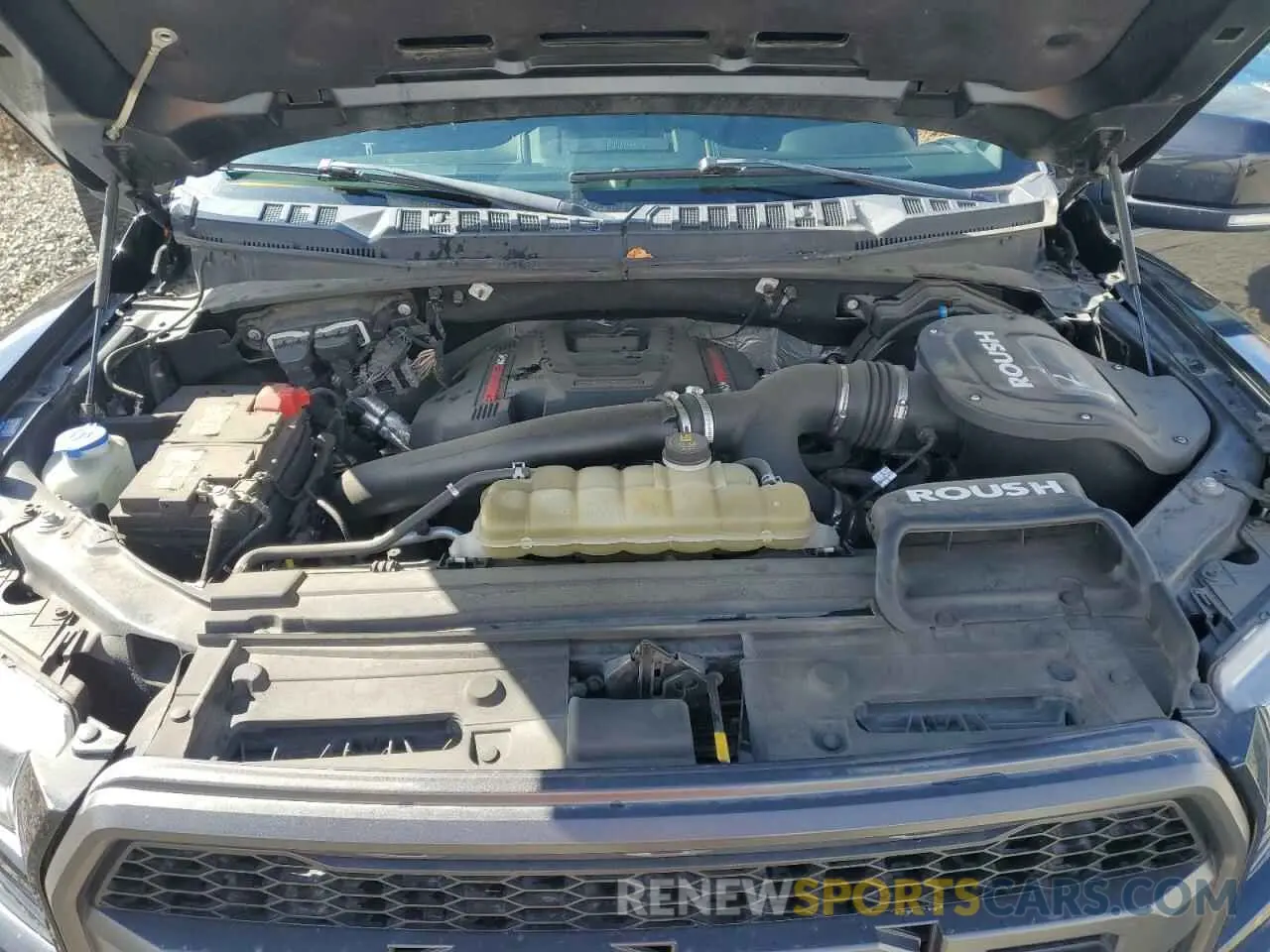 11 fotografías del automóvil dañado 1FTFW1RG0KFD33992 FORD F150 2019