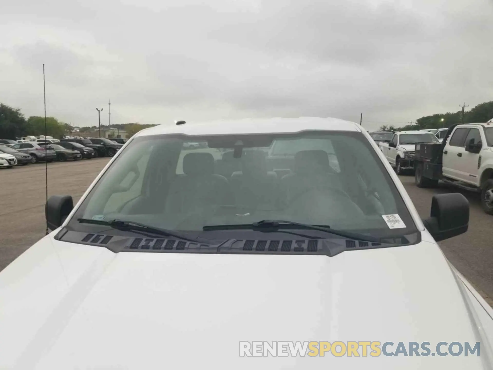 17 fotografías del automóvil dañado 1FTMF1C59KKD85160 FORD F150 2019