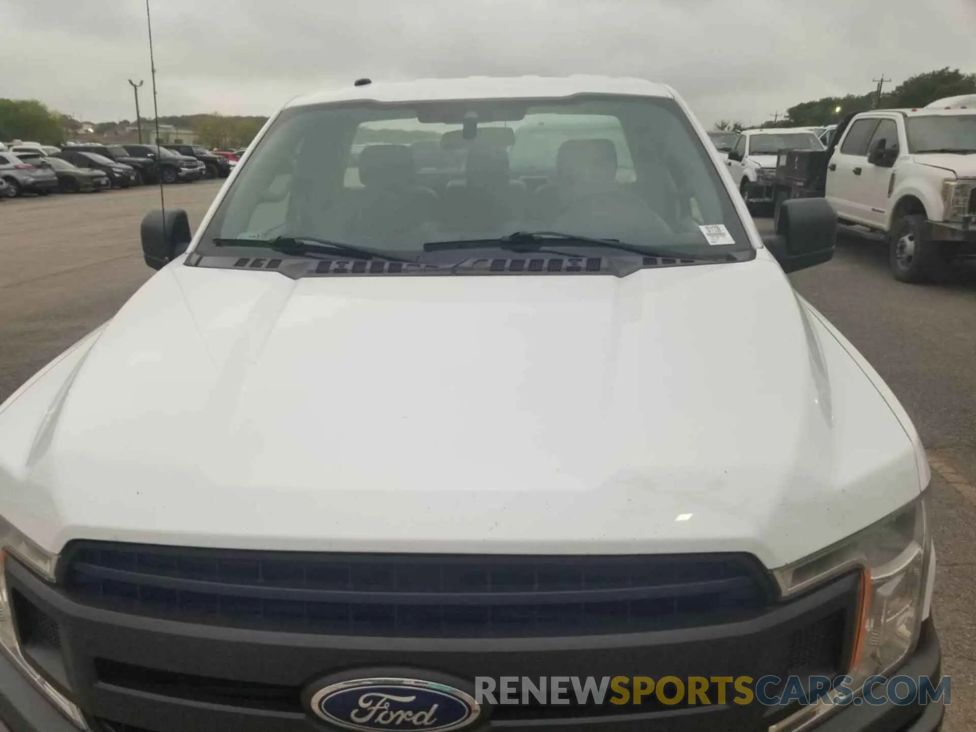 18 fotografías del automóvil dañado 1FTMF1C59KKD85160 FORD F150 2019