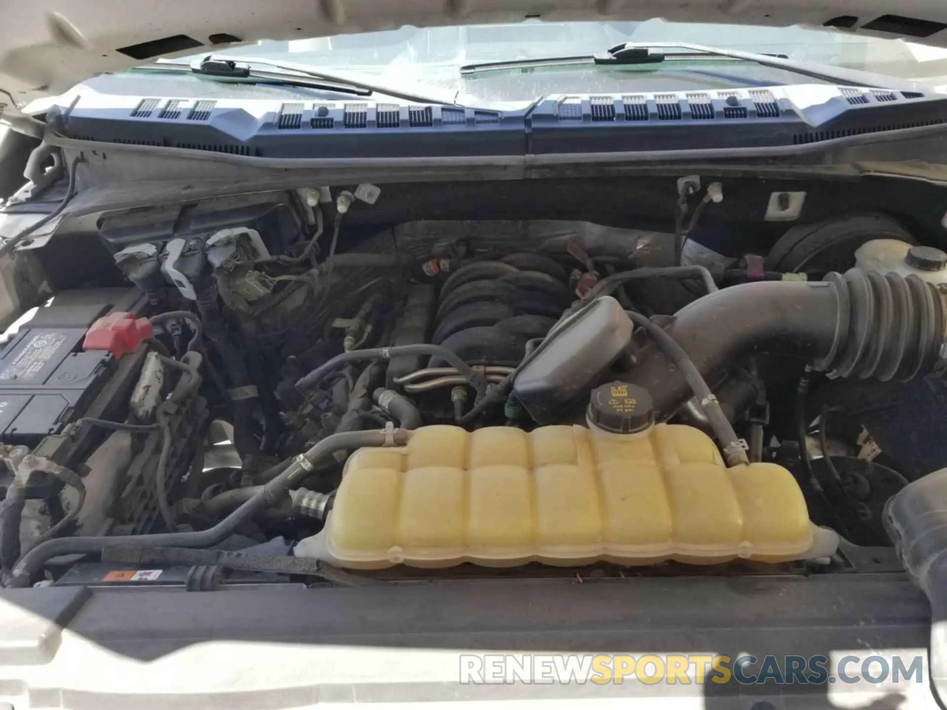 20 fotografías del automóvil dañado 1FTMF1C59KKD85160 FORD F150 2019
