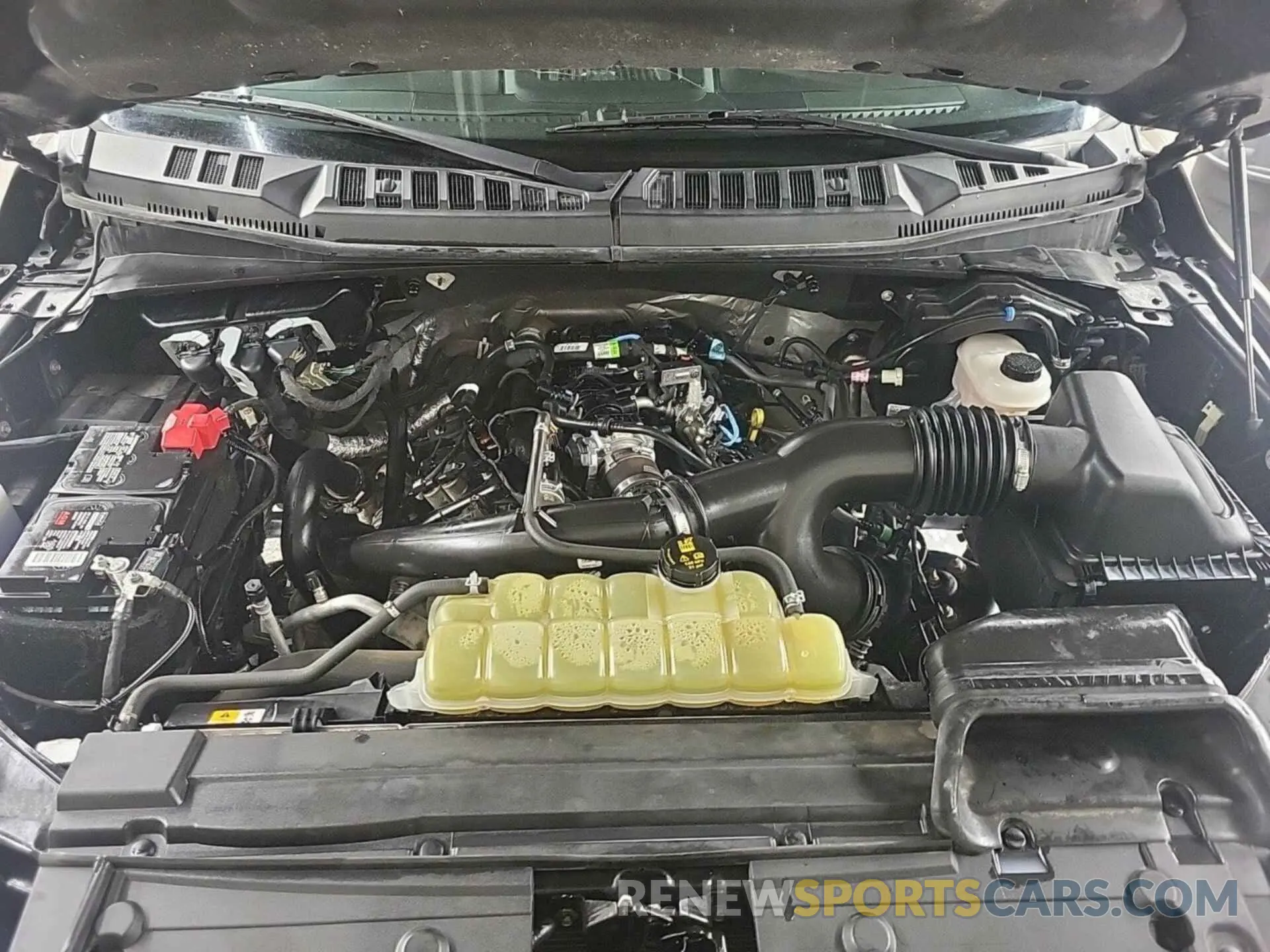44 fotografías del automóvil dañado 1FTEW1EP3LKD10572 FORD F150 2020