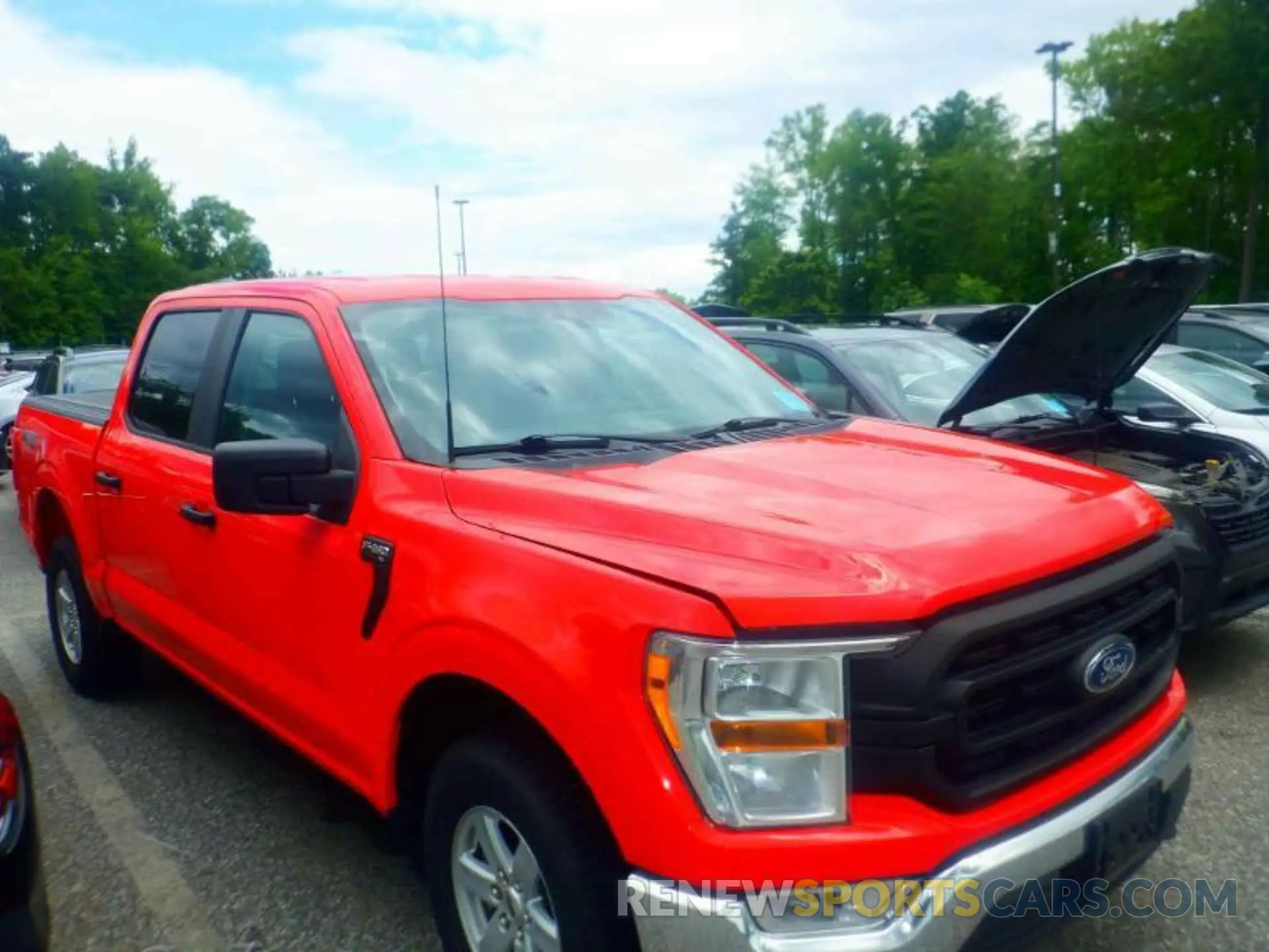 15 fotografías del automóvil dañado 1FTFW1E83MKE96063 FORD F150 2021