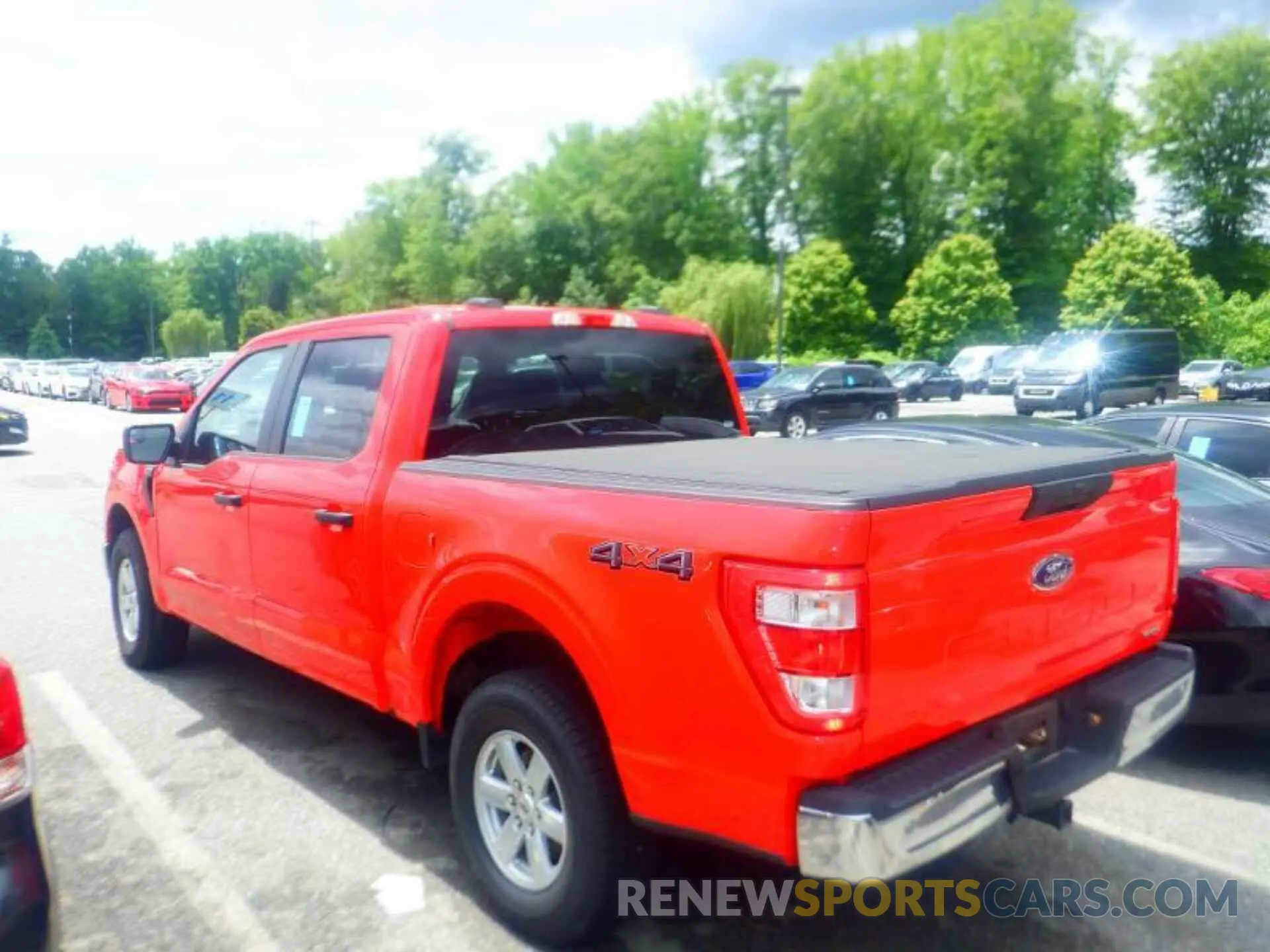17 fotografías del automóvil dañado 1FTFW1E83MKE96063 FORD F150 2021