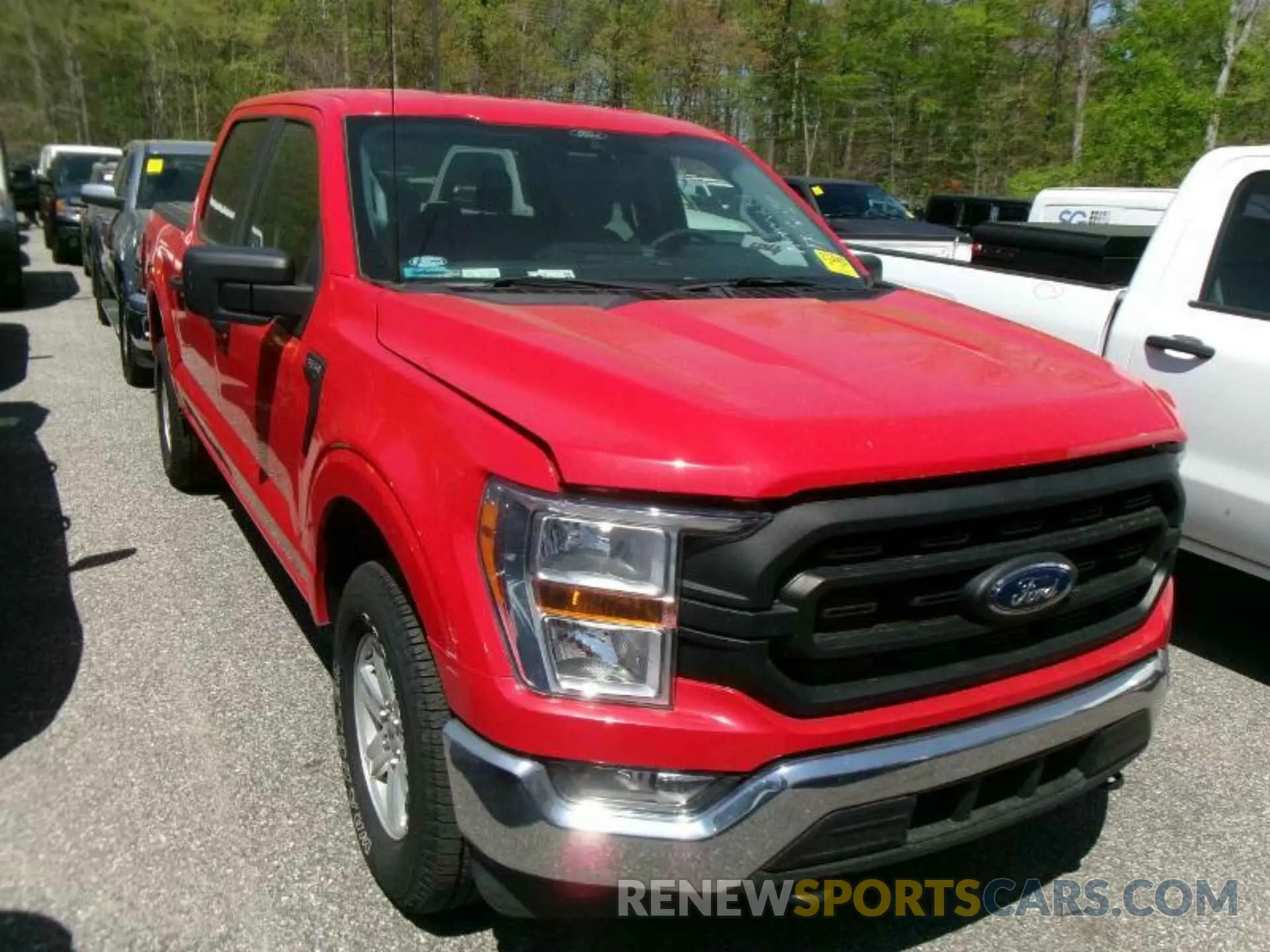 12 fotografías del automóvil dañado 1FTFW1E83MKF00953 FORD F150 2021