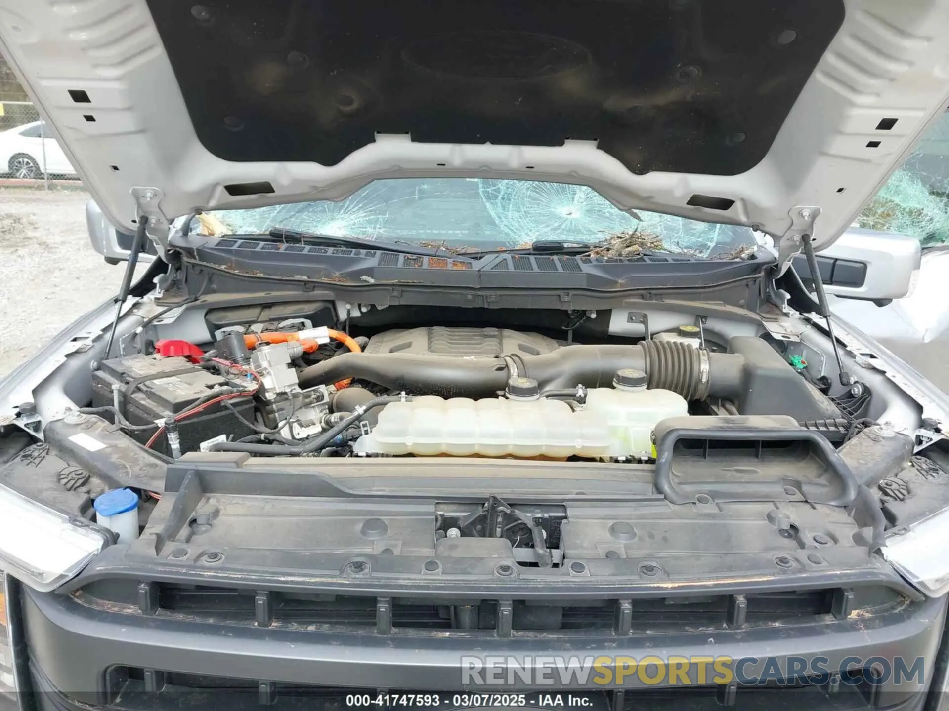 9 fotografías del automóvil dañado 1FTFW1ED4MFB51064 FORD F150 2021