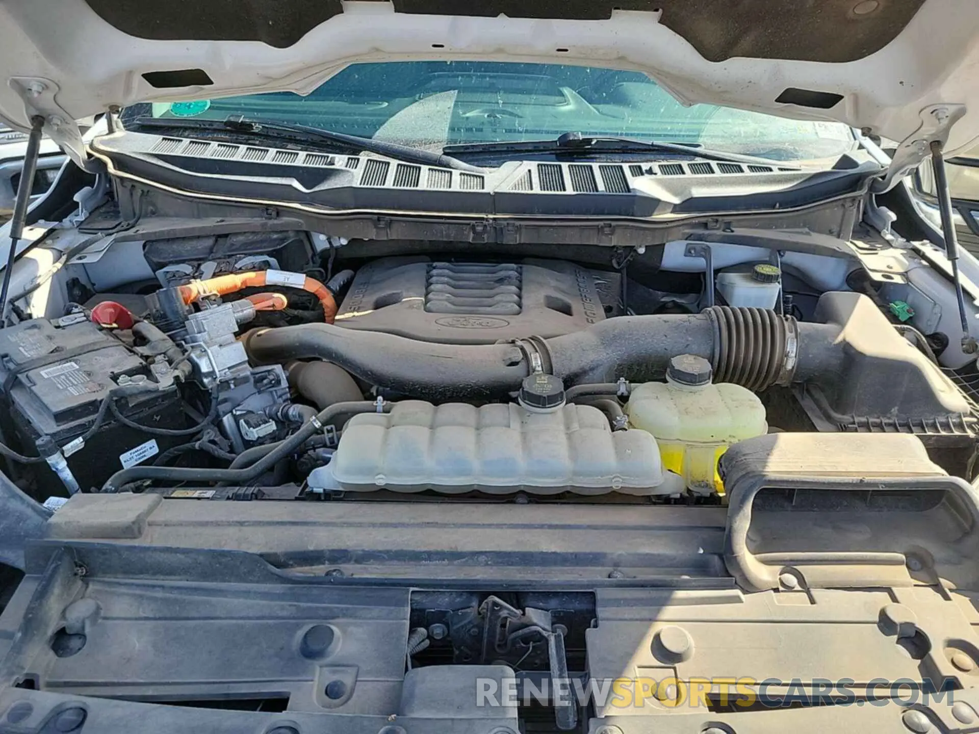 1 fotografías del automóvil dañado 1FTFW1ED9NFB83400 FORD F150 2022