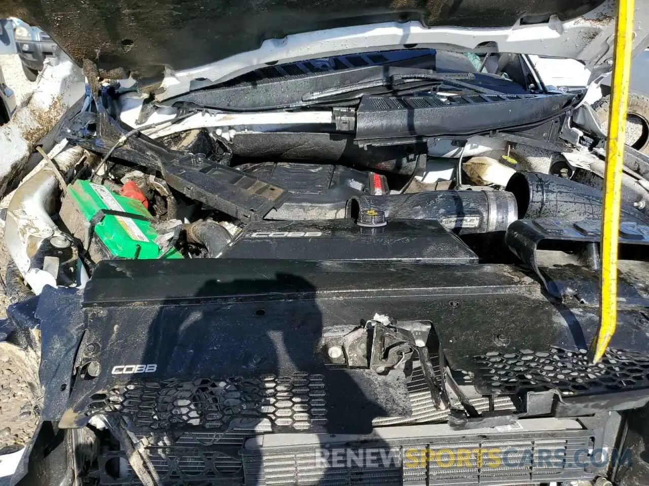 11 fotografías del automóvil dañado 1FTFW1RG7NFB01989 FORD F150 2022