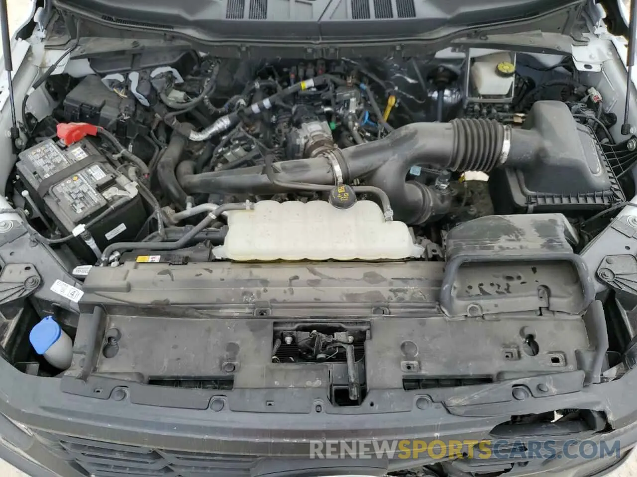 11 fotografías del automóvil dañado 1FTEW1KP3RKE77267 FORD F150 2024