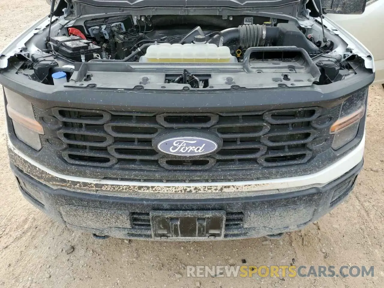 11 fotografías del automóvil dañado 1FTFW1L56RKD52345 FORD F150 2024