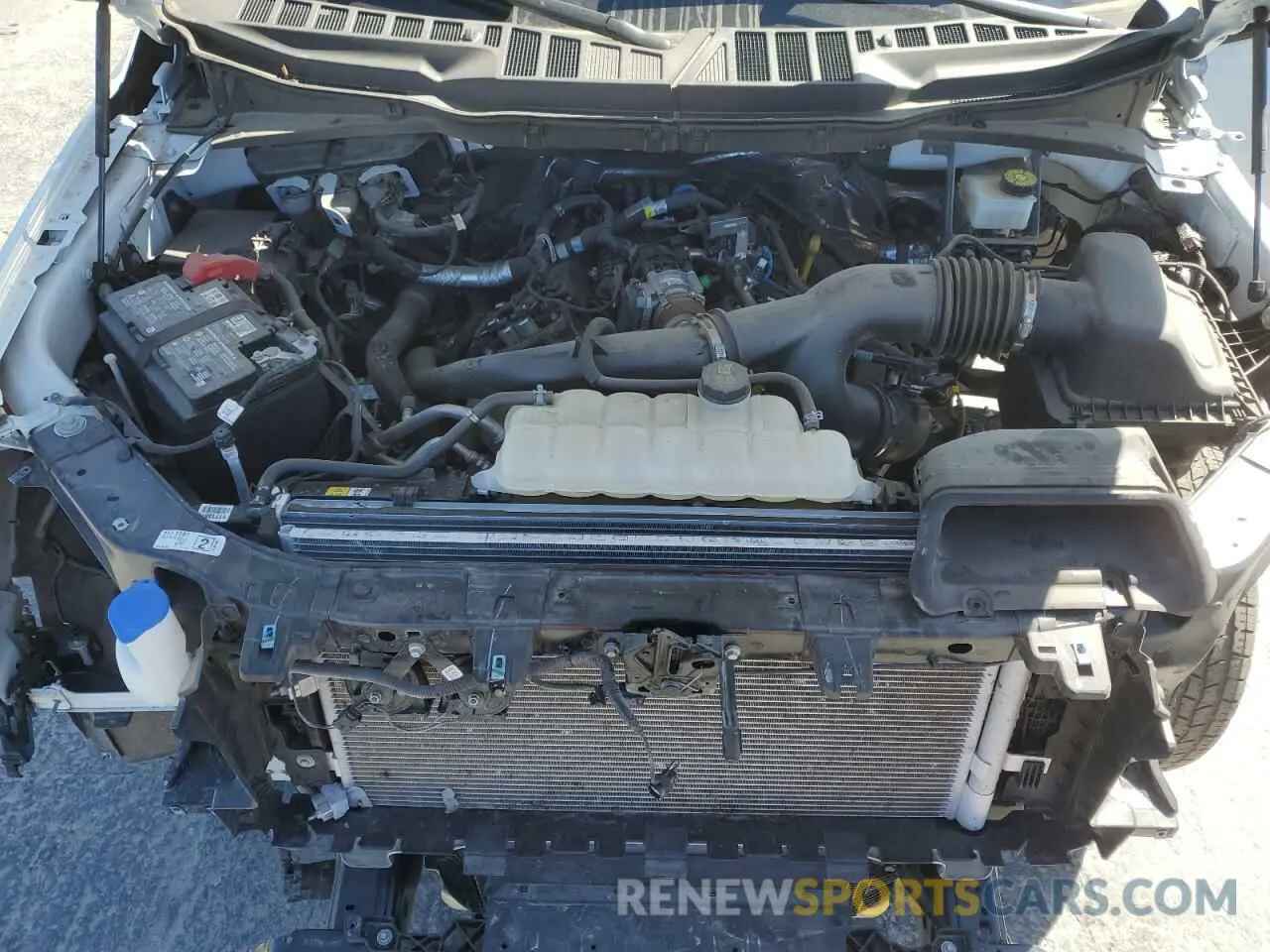 11 fotografías del automóvil dañado 1FTMF1KP2RKD78290 FORD F150 2024